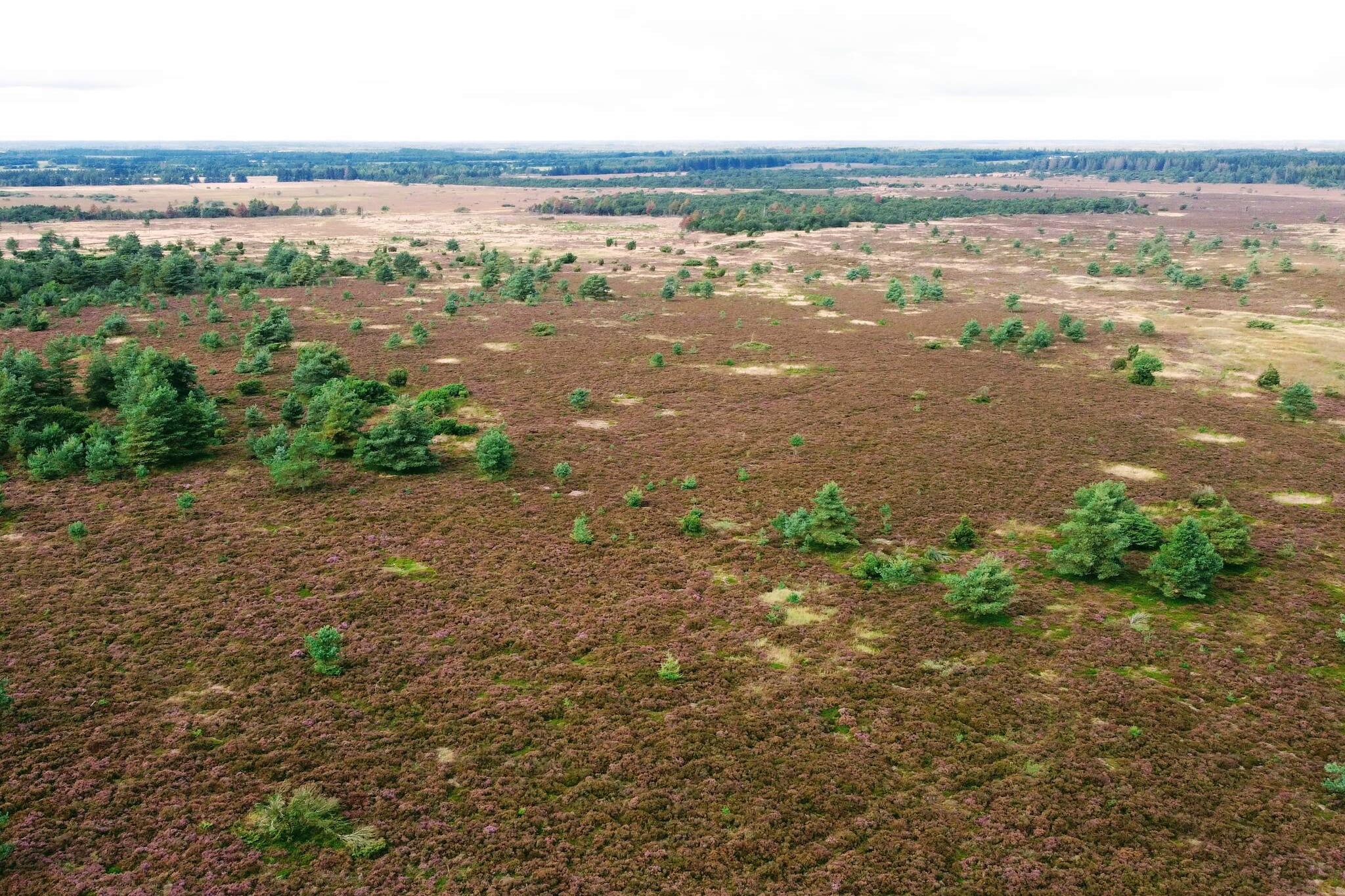 4 person holiday home in Hovborg-By Traum-Untagged