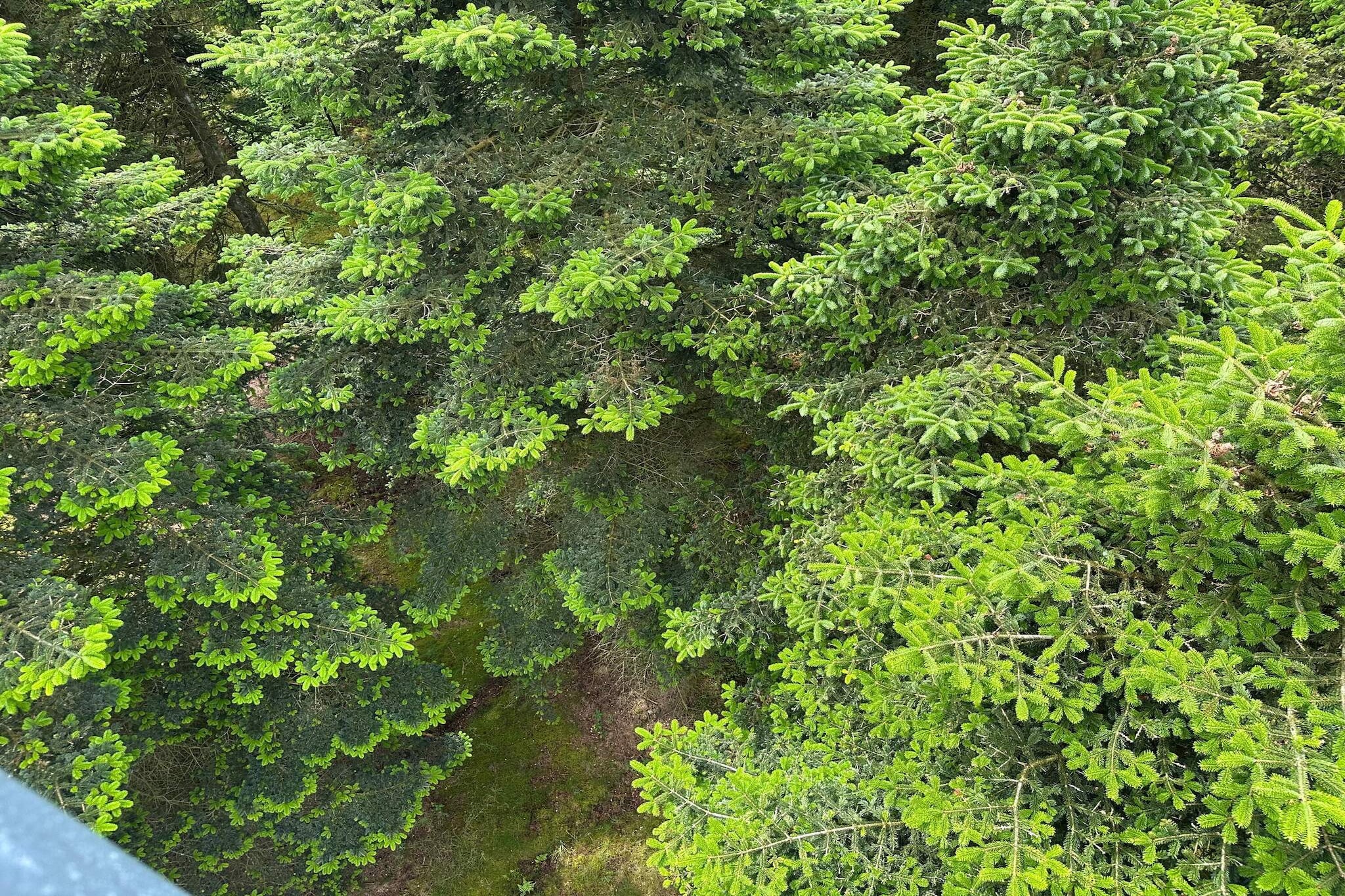 4 person holiday home in Hovborg-By Traum-Untagged