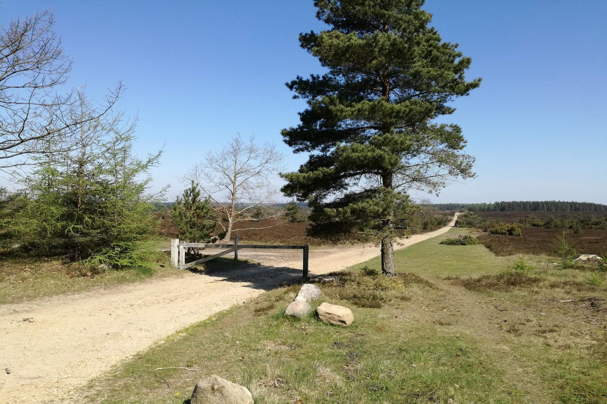 4 person holiday home in Hovborg-By Traum-Untagged