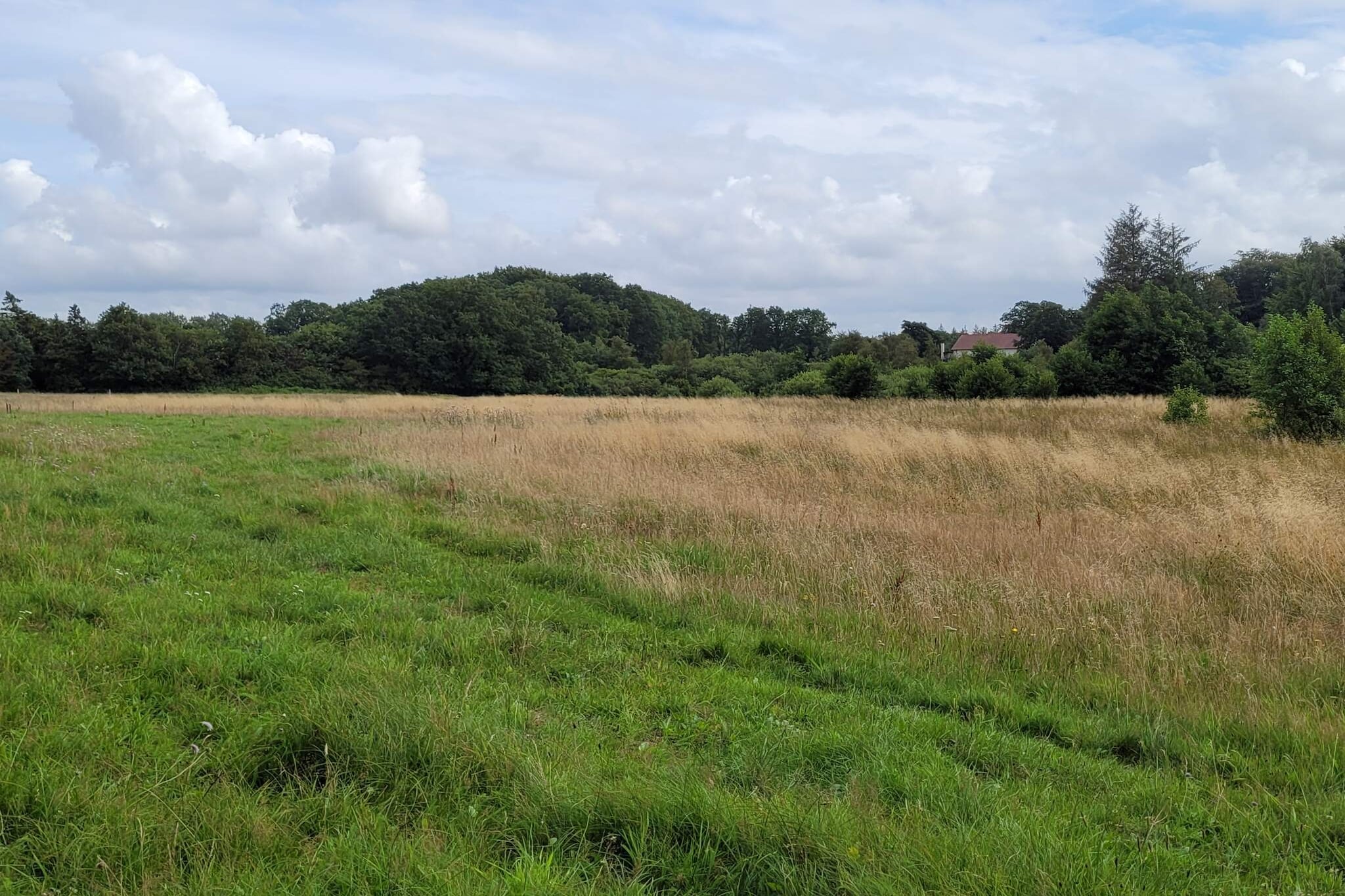 4 person holiday home in Hovborg-By Traum-Untagged