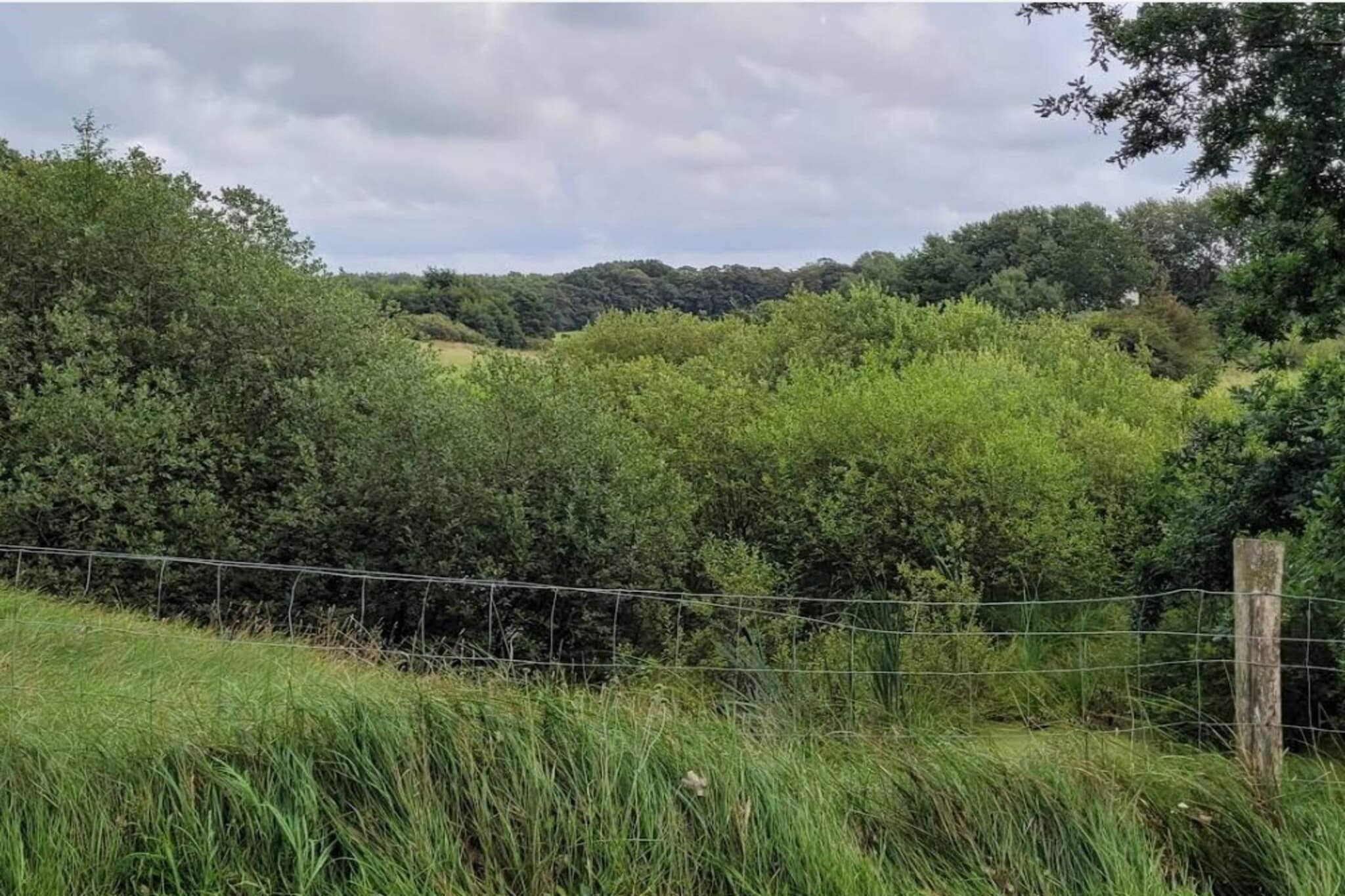 4 persoons vakantie huis in Hovborg-By Traum