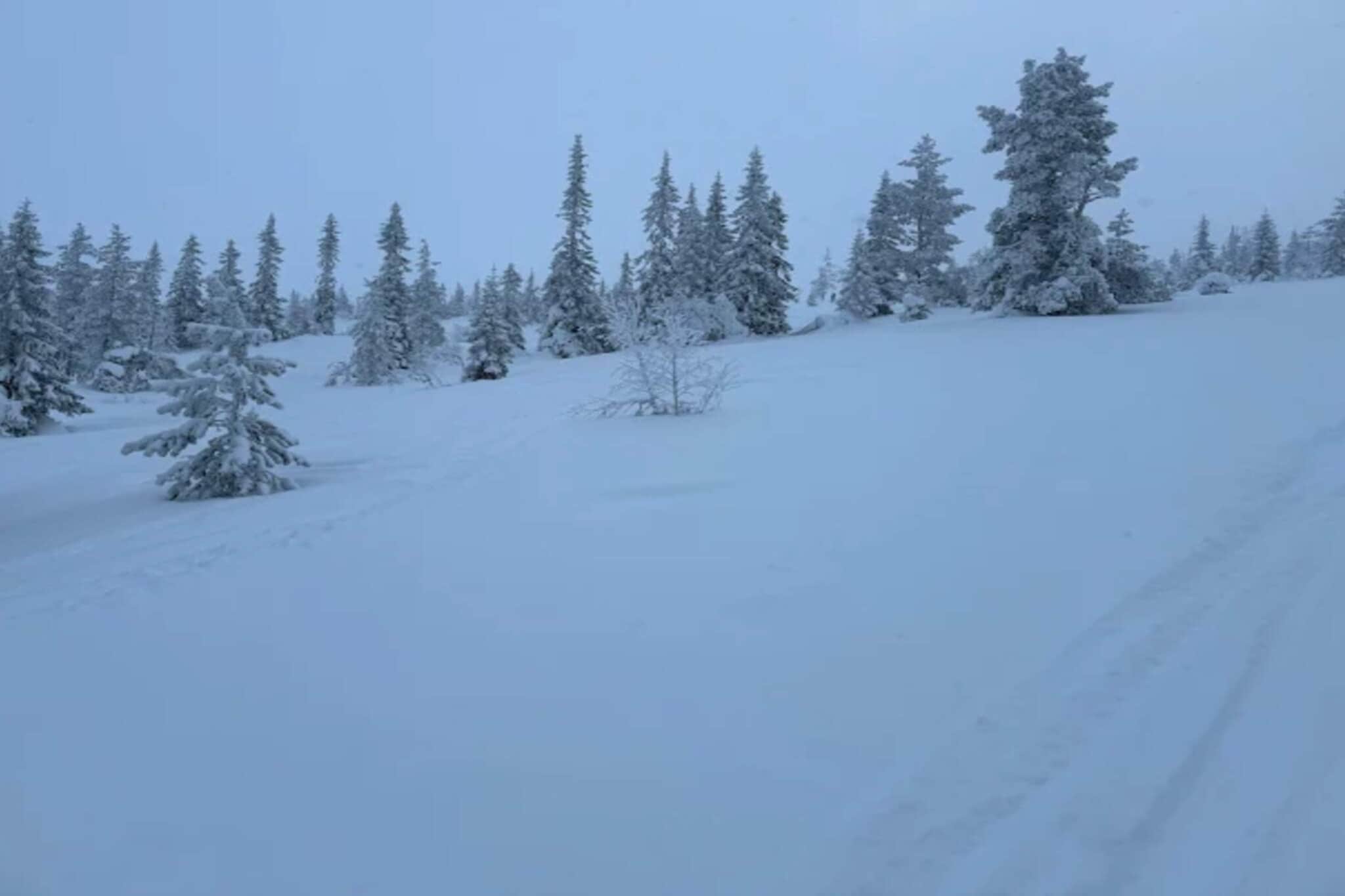 8 persoons vakantie huis in SÄLEN-By Traum