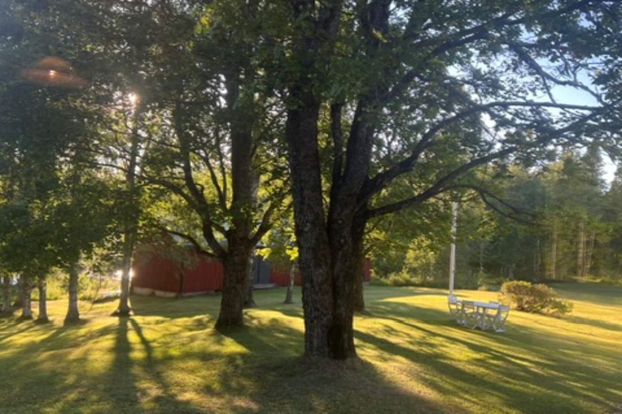 6 persoons vakantie huis in GRÄSMARK-By Traum - Buitenlucht