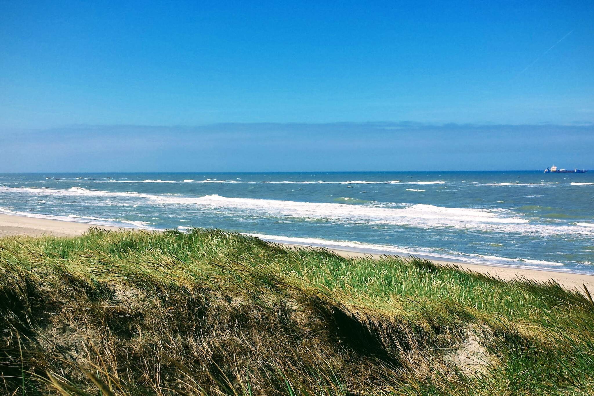 8 persoons vakantie huis in Ulfborg-By Traum - Waterzicht