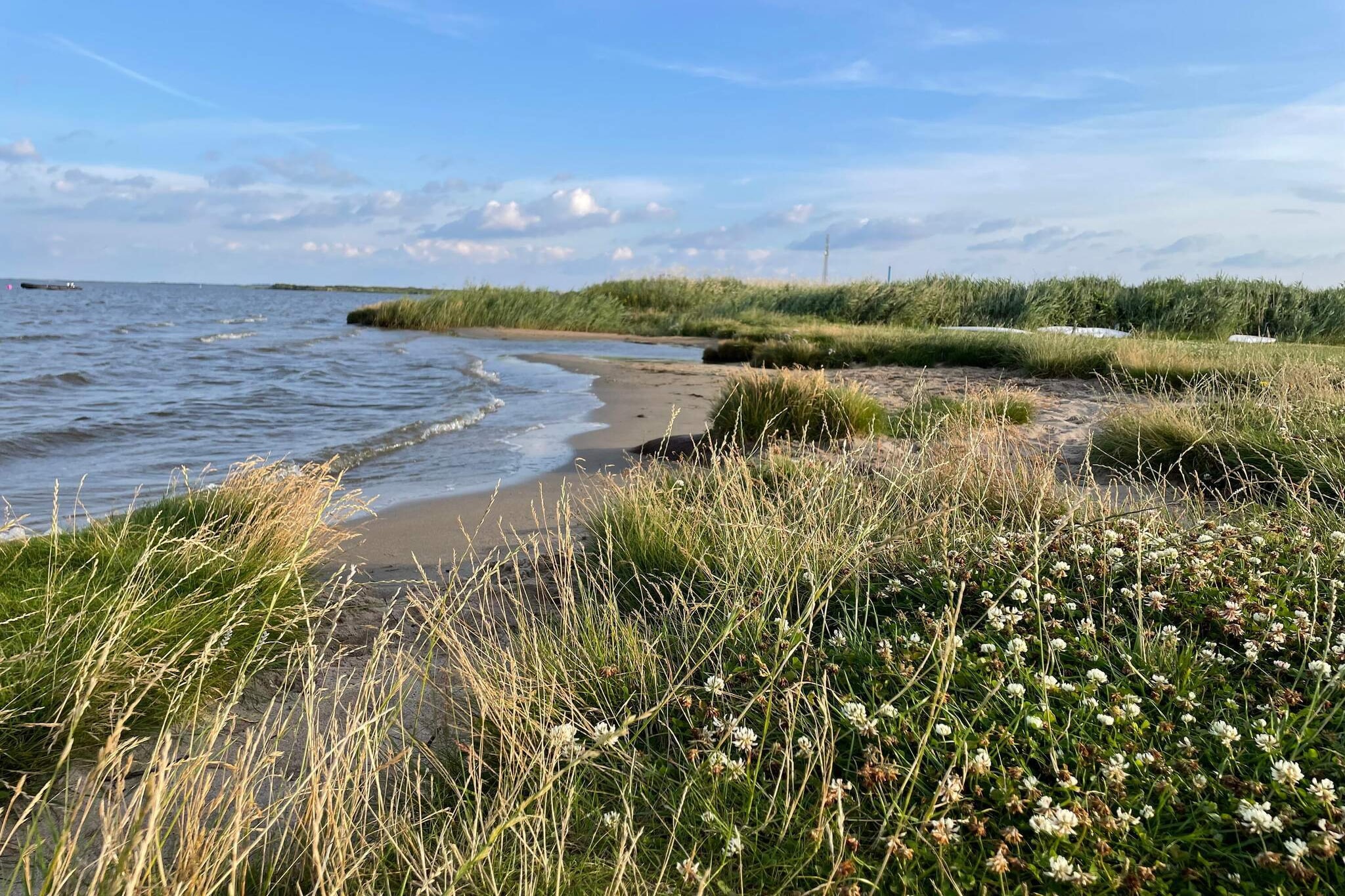 8 persoons vakantie huis in Ulfborg-By Traum - Waterzicht