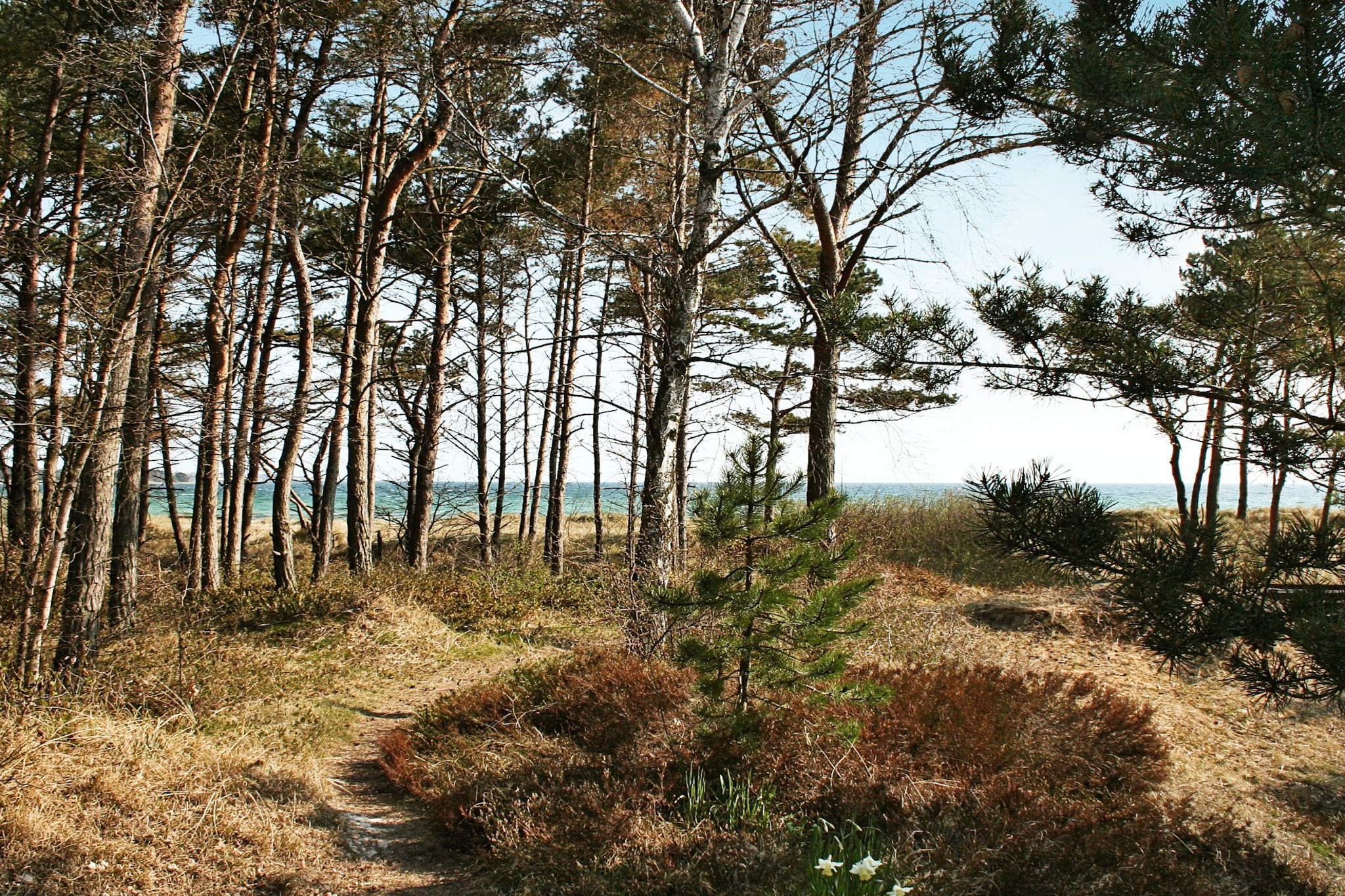 HYTTAN