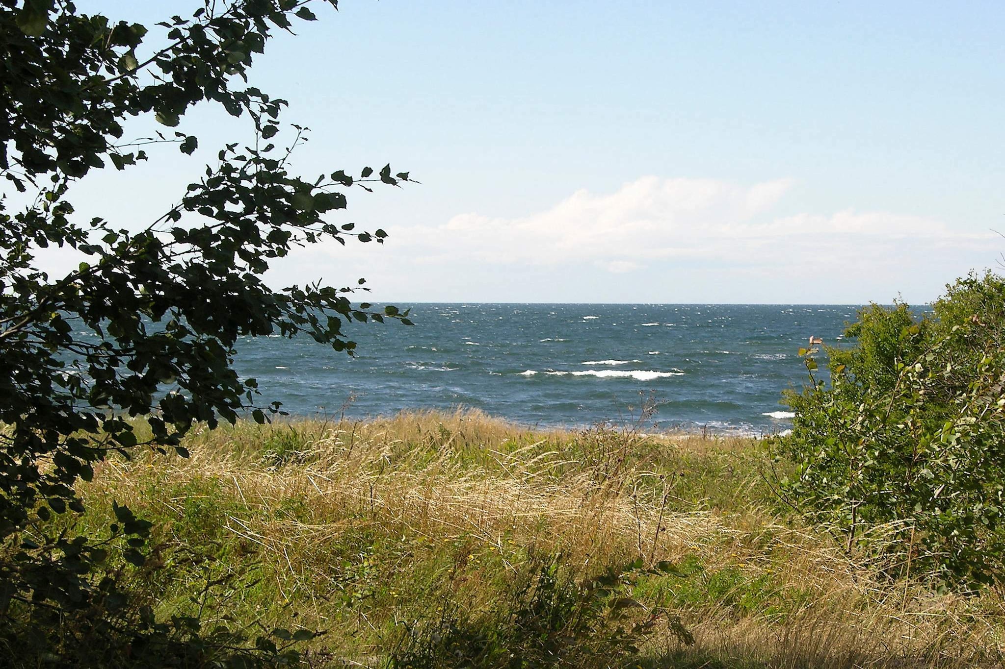 View
