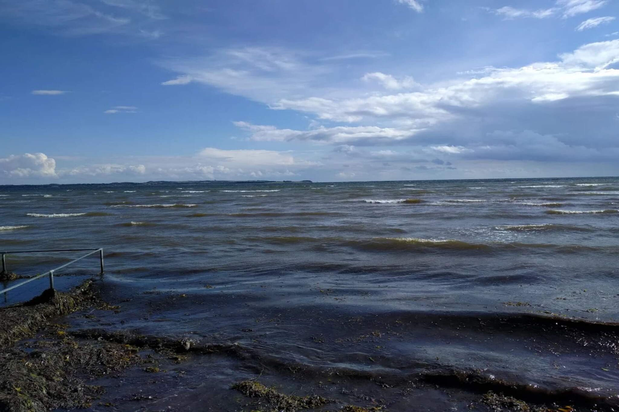 Maison de vacances pour 12 a Egå-By Traum-Vue sur l'eau