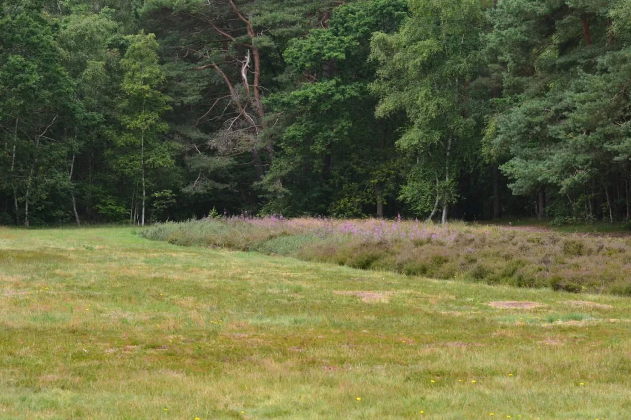 12 persoons vakantie huis in Egå-By Traum