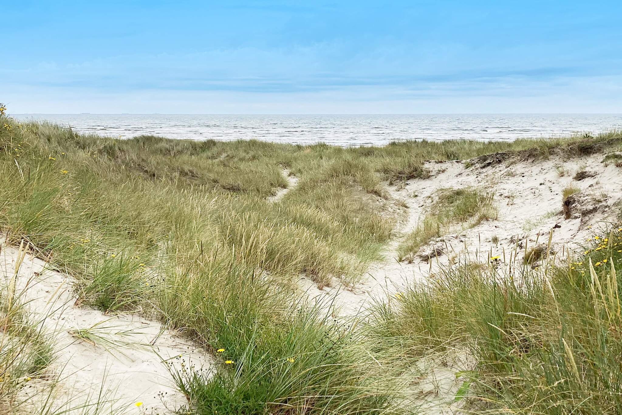 8 persoons vakantie huis in Ålbæk-By Traum - Buitenlucht