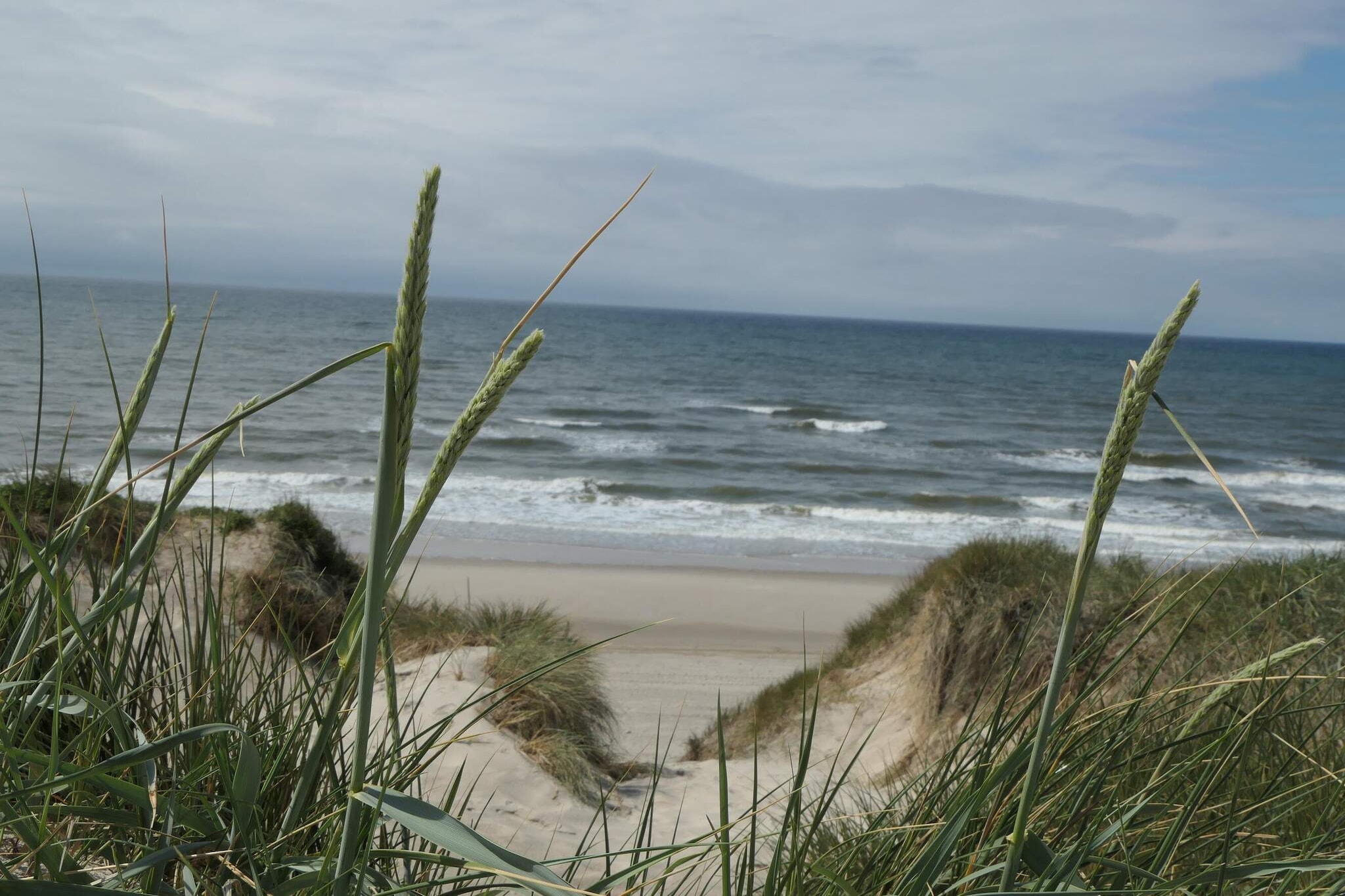 Ontsnapping aan zee met sauna - Waterzicht