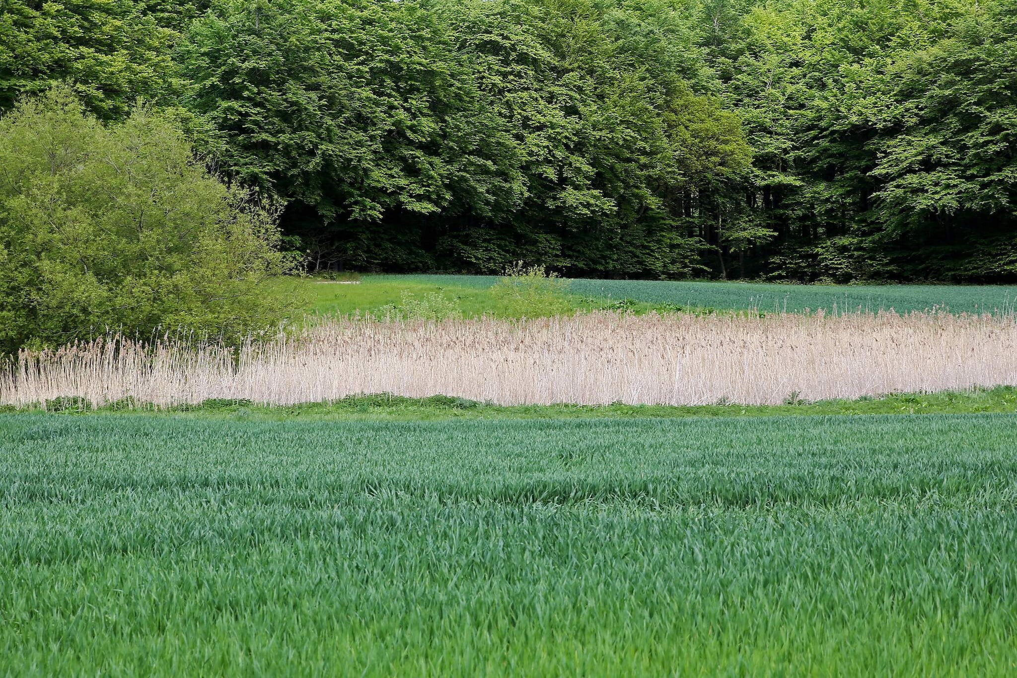 Luxuriöse Poolvilla in Lohals - Nicht zugeordnet