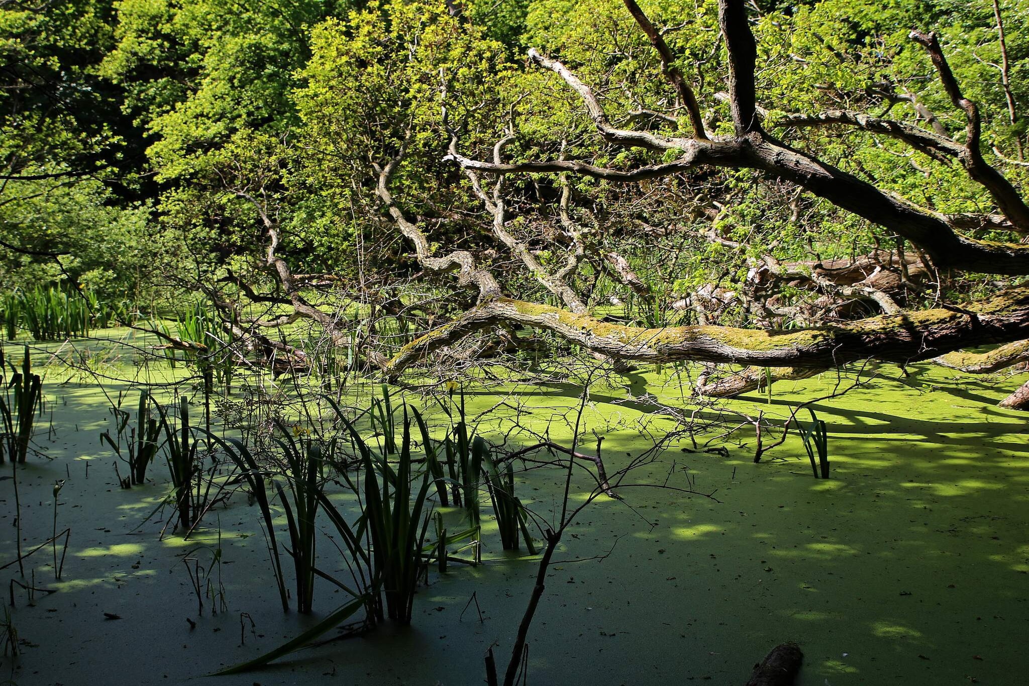 Luxuriöse Poolvilla in Lohals - Wasserblick