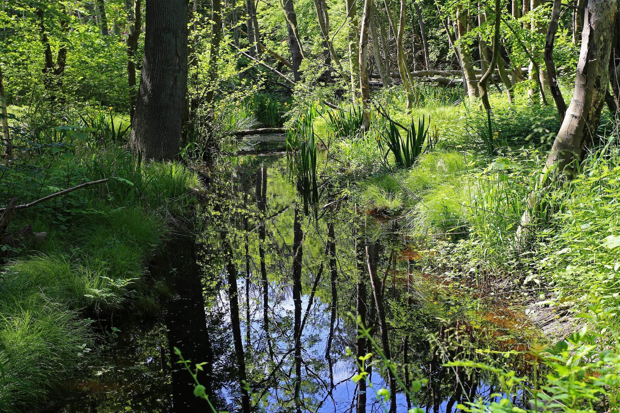 Luxuriöse Poolvilla in Lohals - Wasserblick