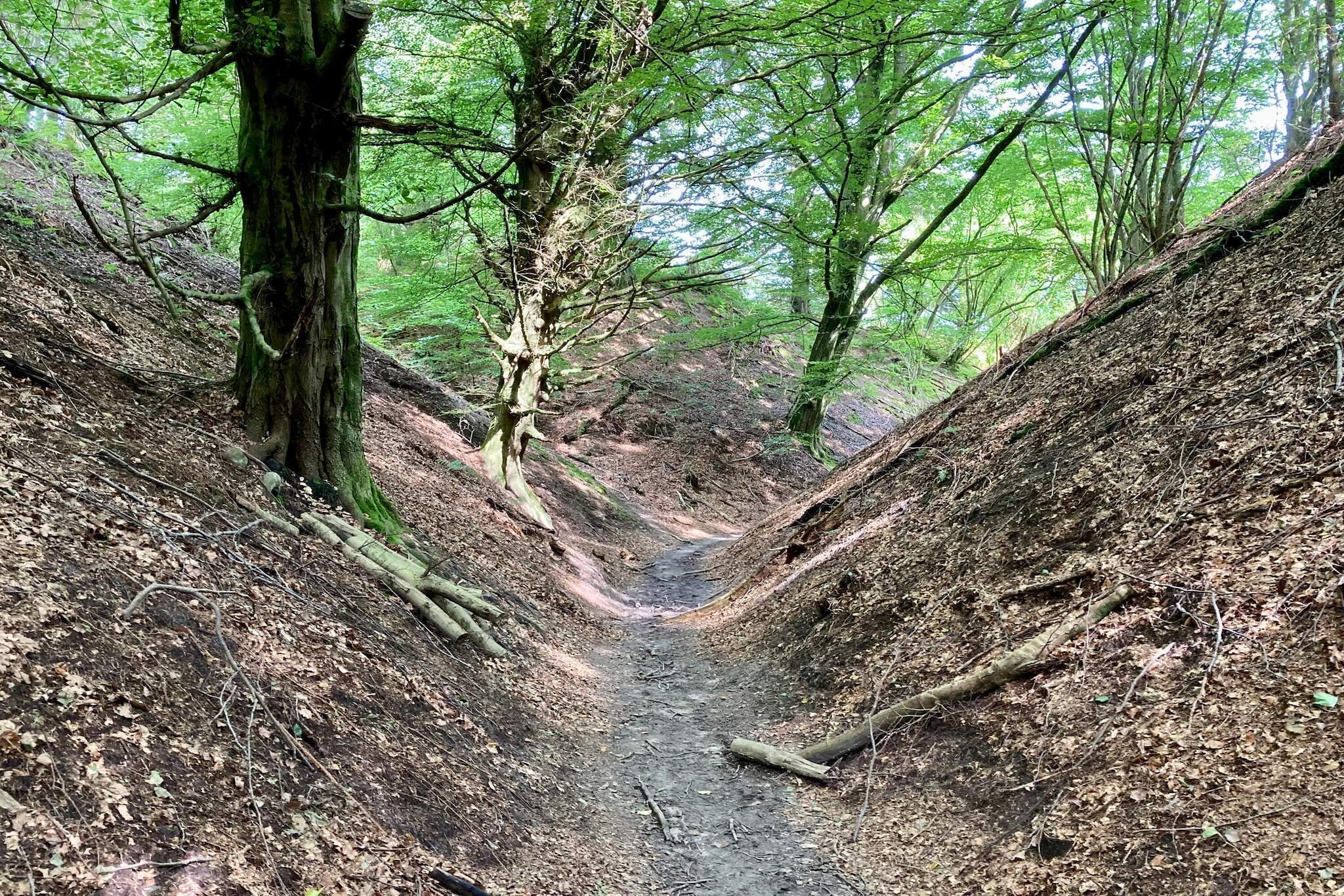 8 persoons vakantie huis in Brovst-By Traum