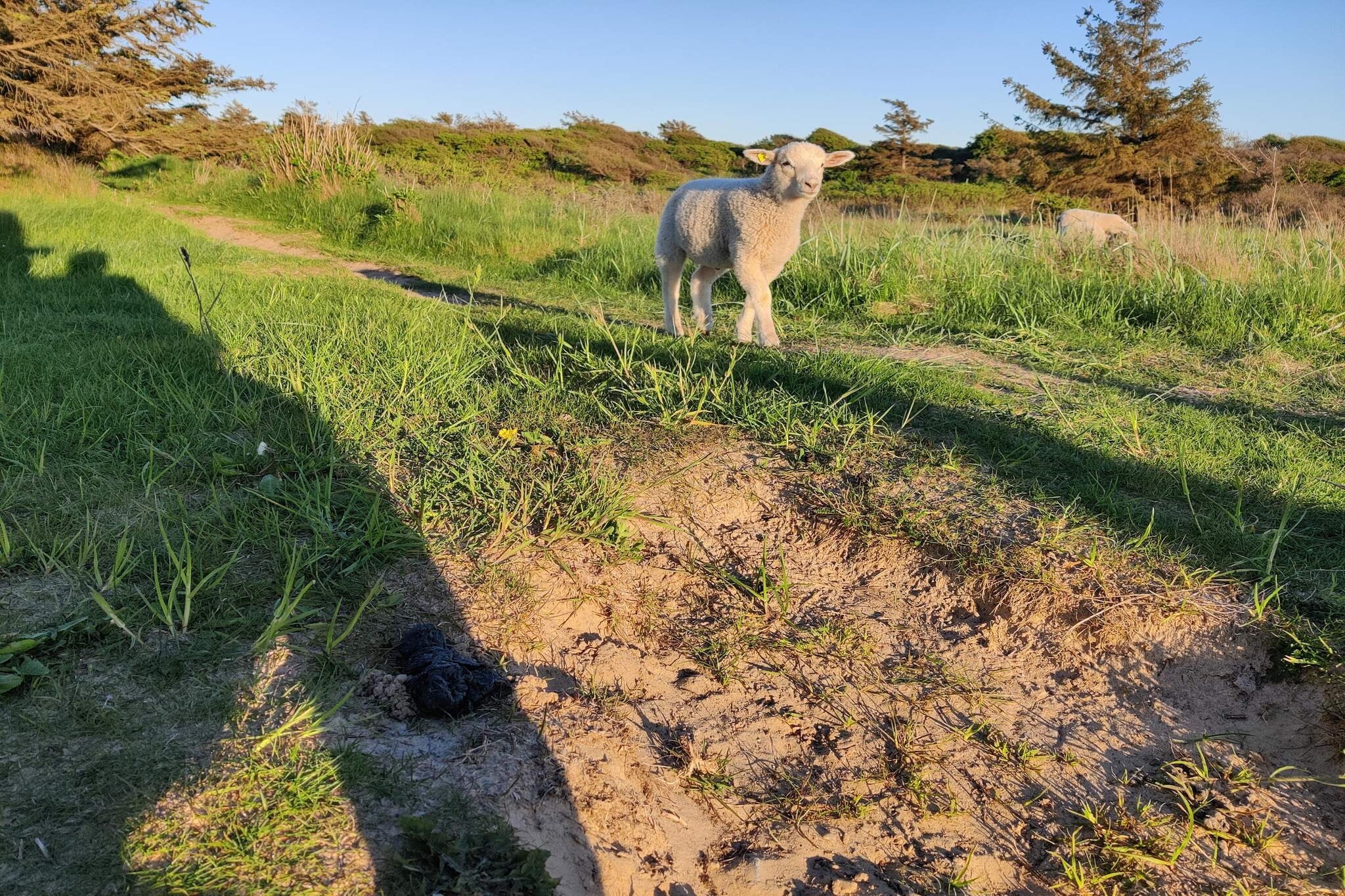 6 persoons vakantie huis in Løkken-By Traum