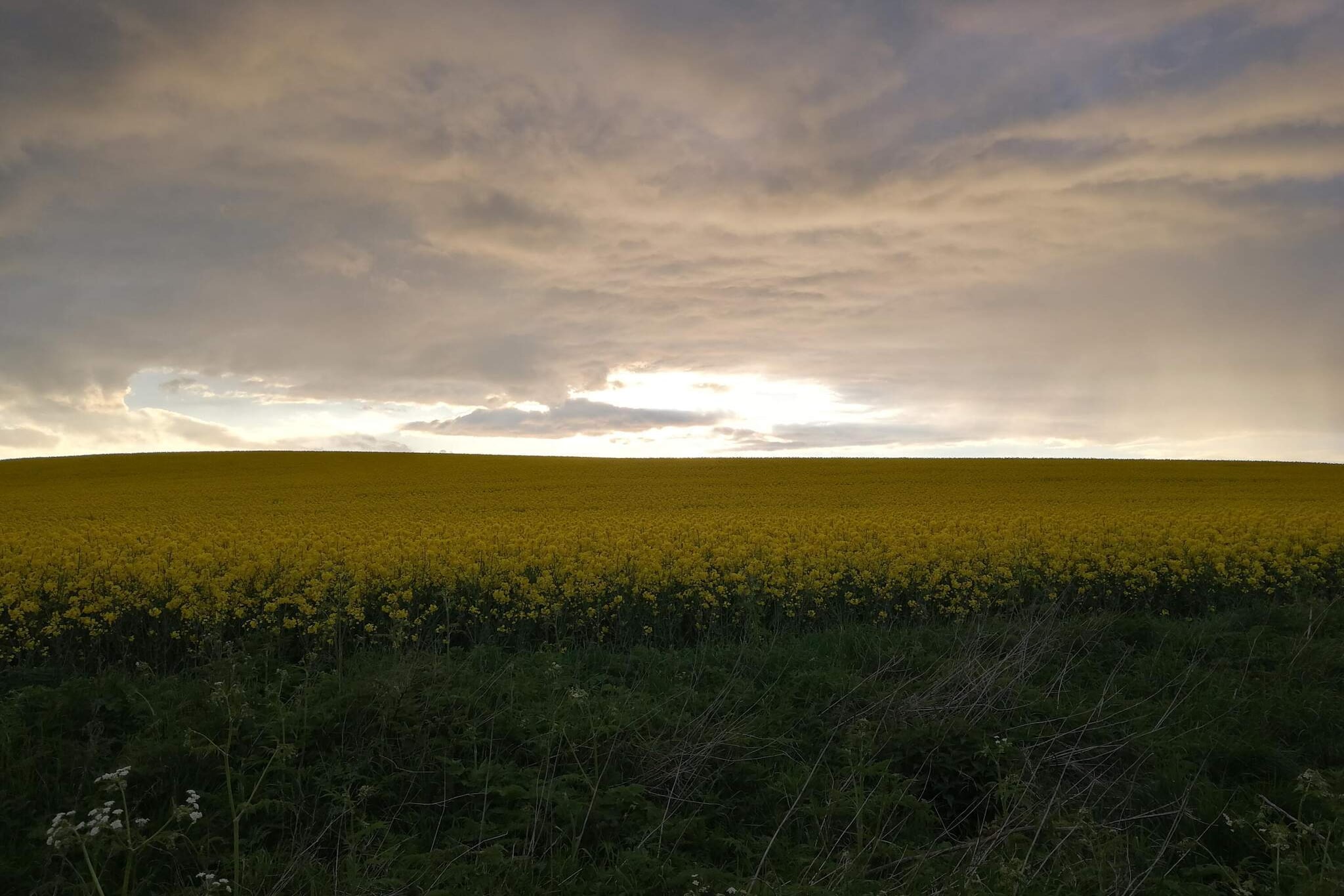 4 person holiday home in Mesinge-By Traum