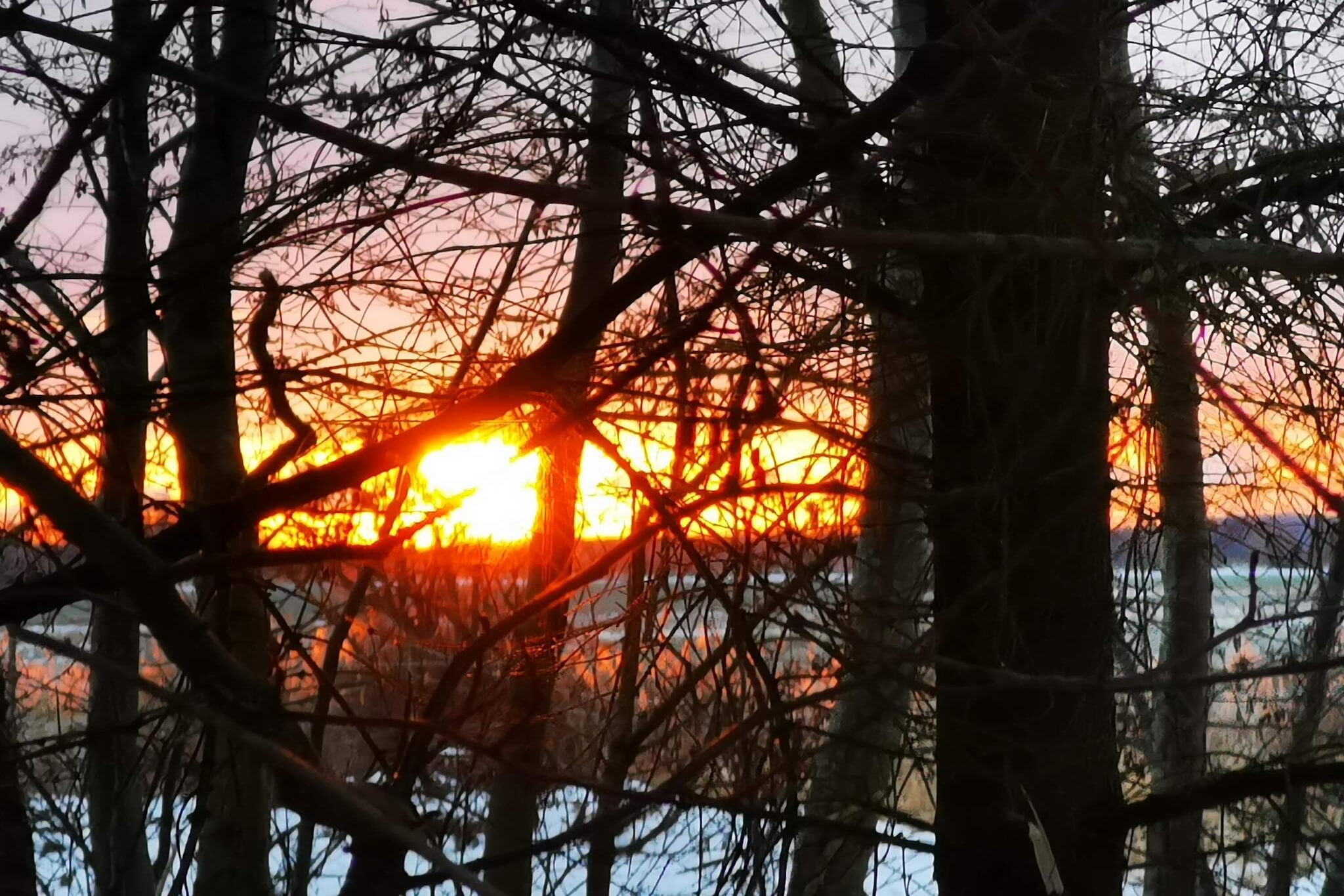 4 person holiday home in Mesinge-By Traum