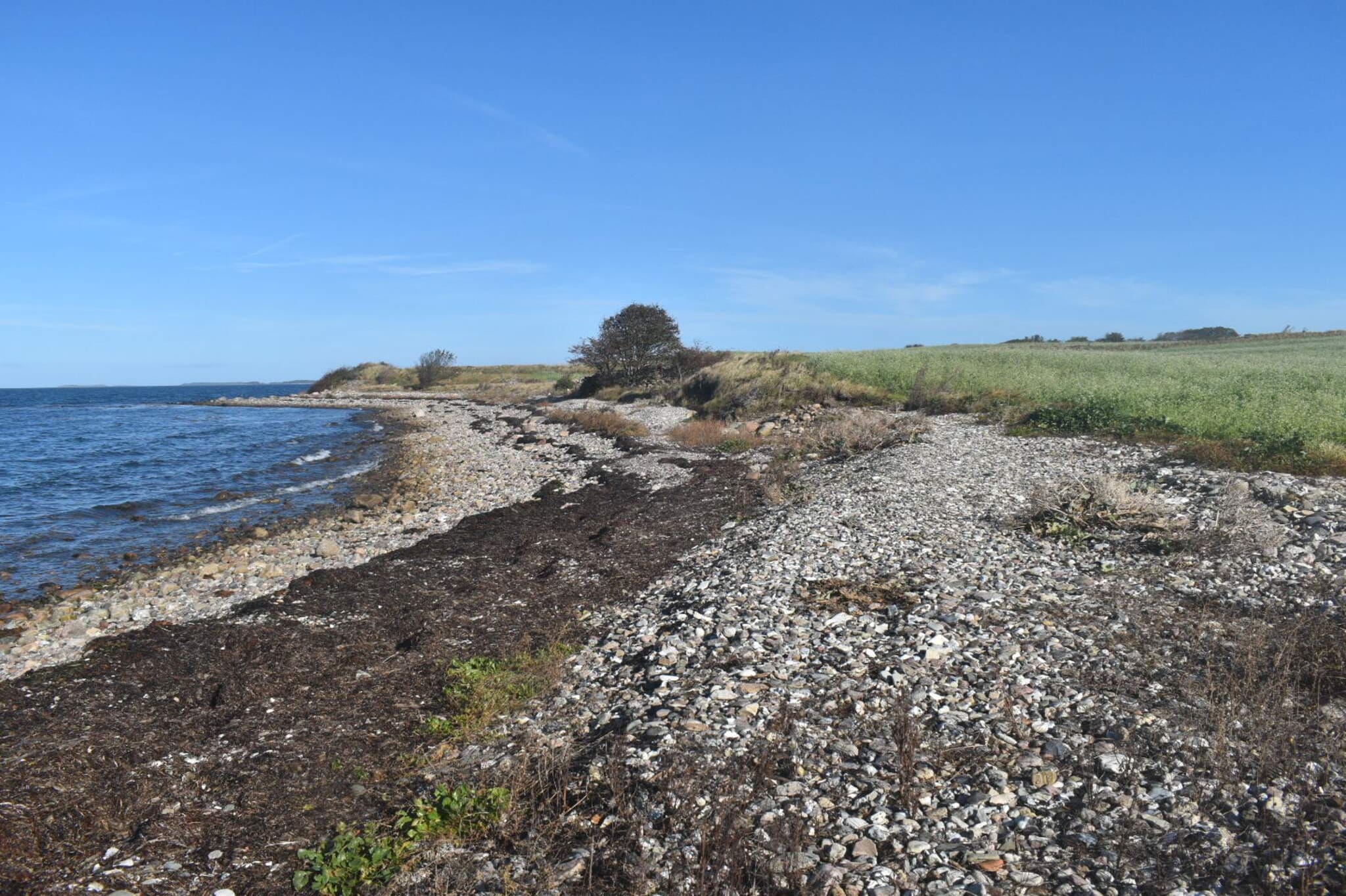 4 person holiday home in Mesinge-By Traum-Water view