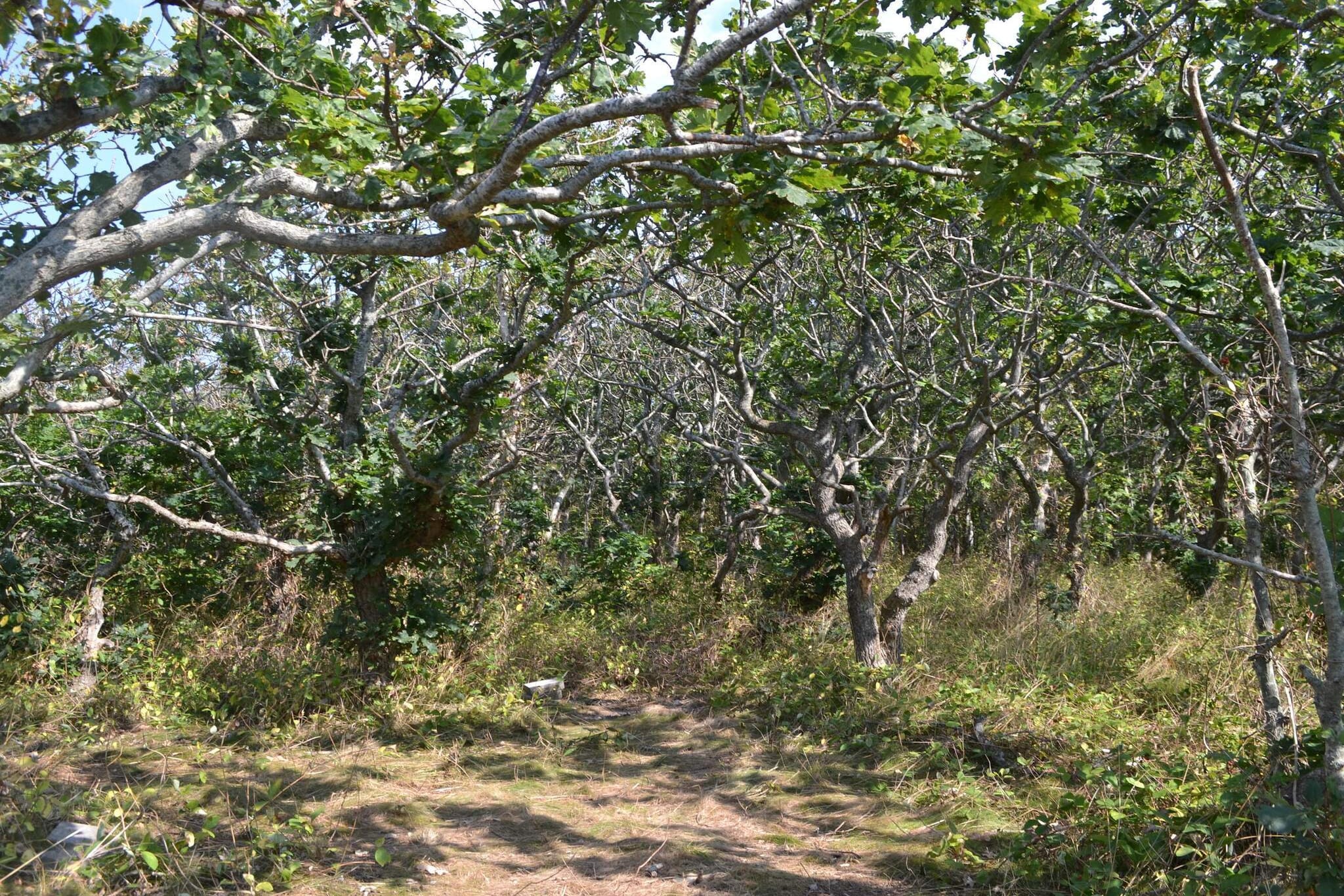 8 persoons vakantie huis in Ebeltoft-By Traum-Niet-getagd