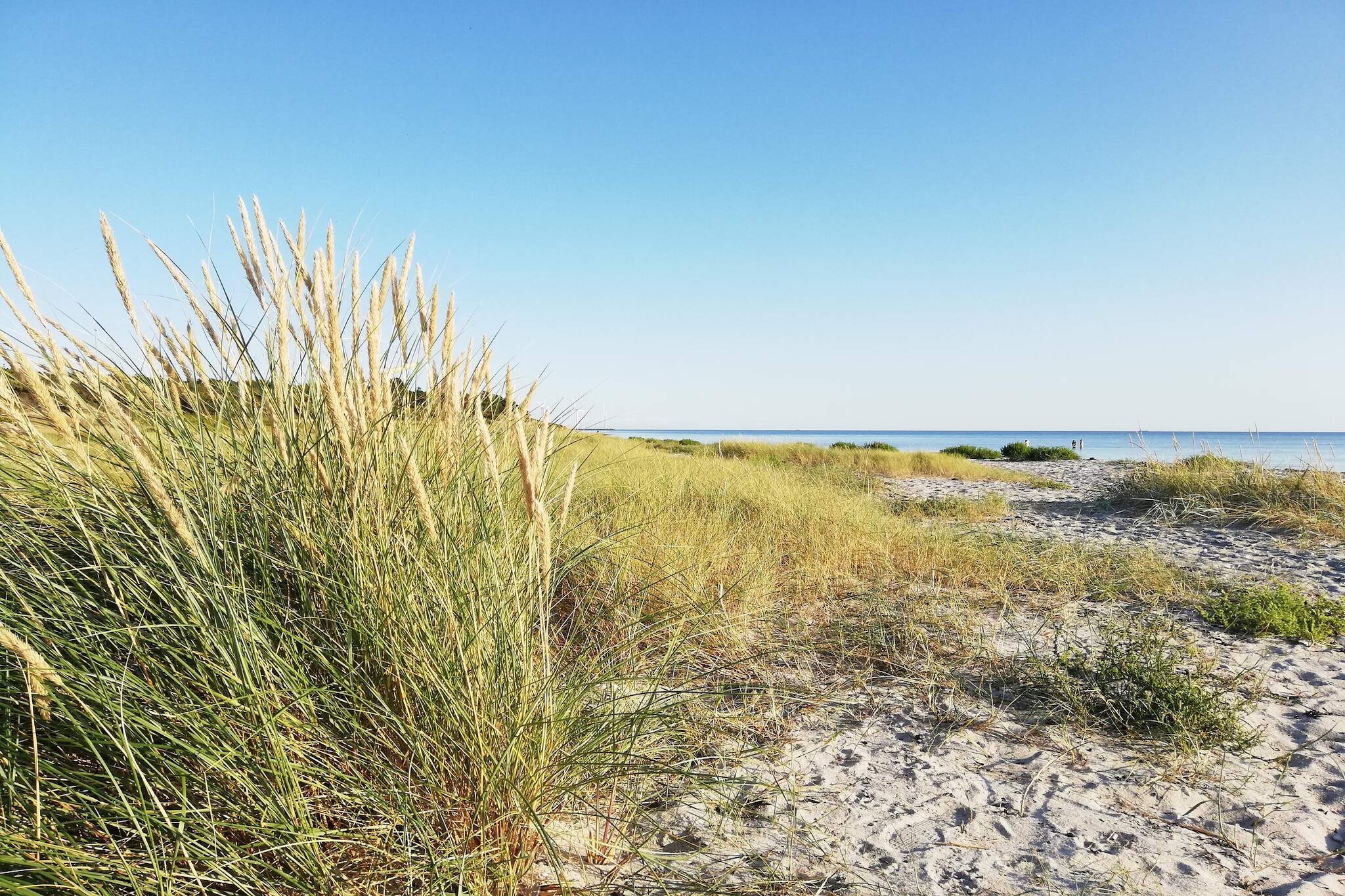 8 persoons vakantie huis in Ebeltoft-By Traum - Niet-getagd