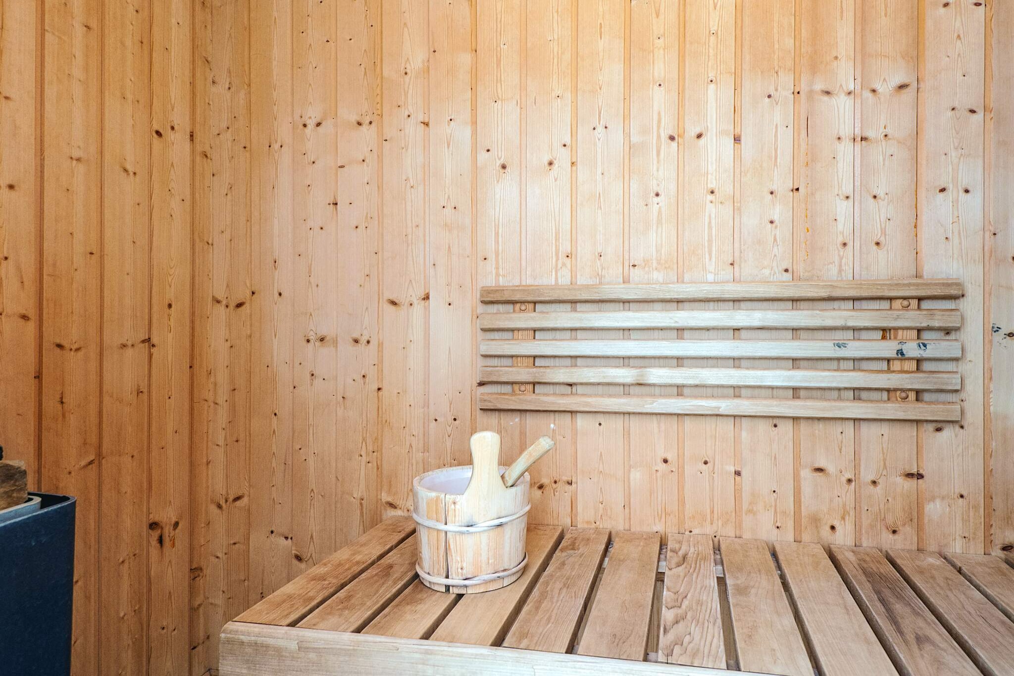 16 persoons vakantie huis in Ansager-By Traum - Sauna