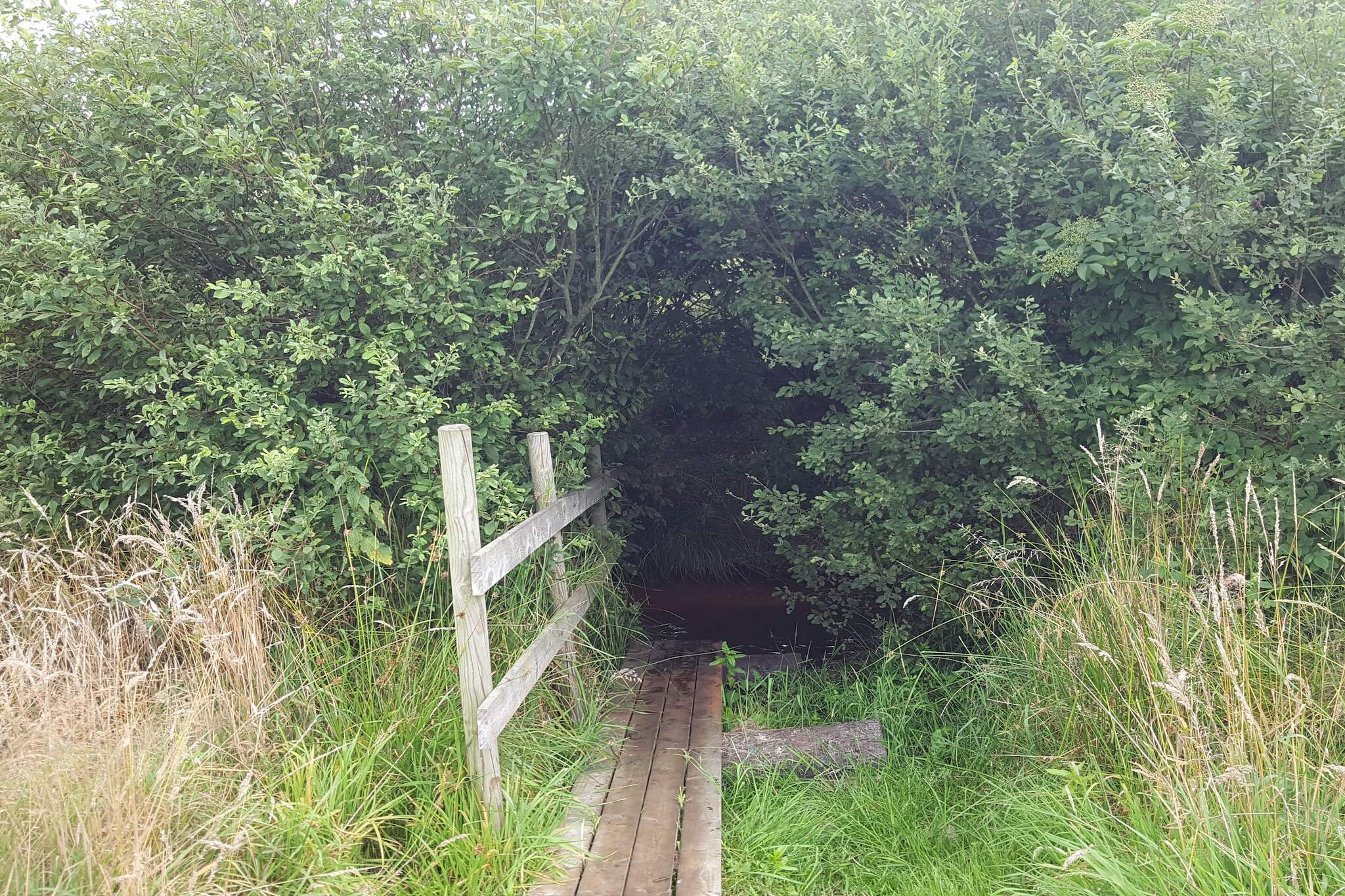 6 persoons vakantie huis in Oksbøl-By Traum-Niet-getagd