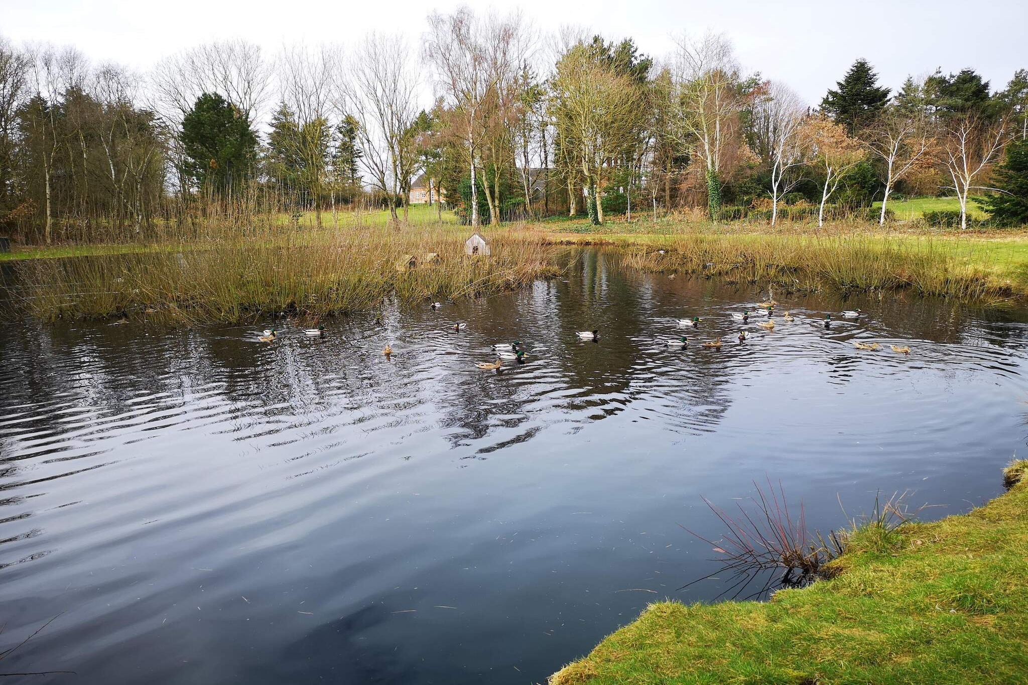 6 persoons vakantie huis in Oksbøl-By Traum-Waterzicht