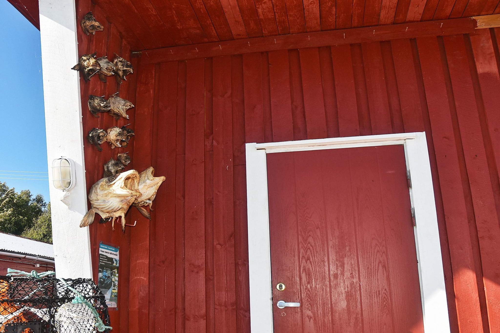 40680 - HAVGLØTT