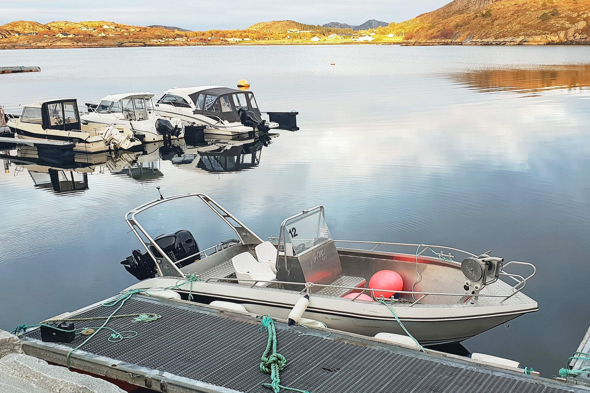 40680 - HAVGLØTT - Niet-getagd
