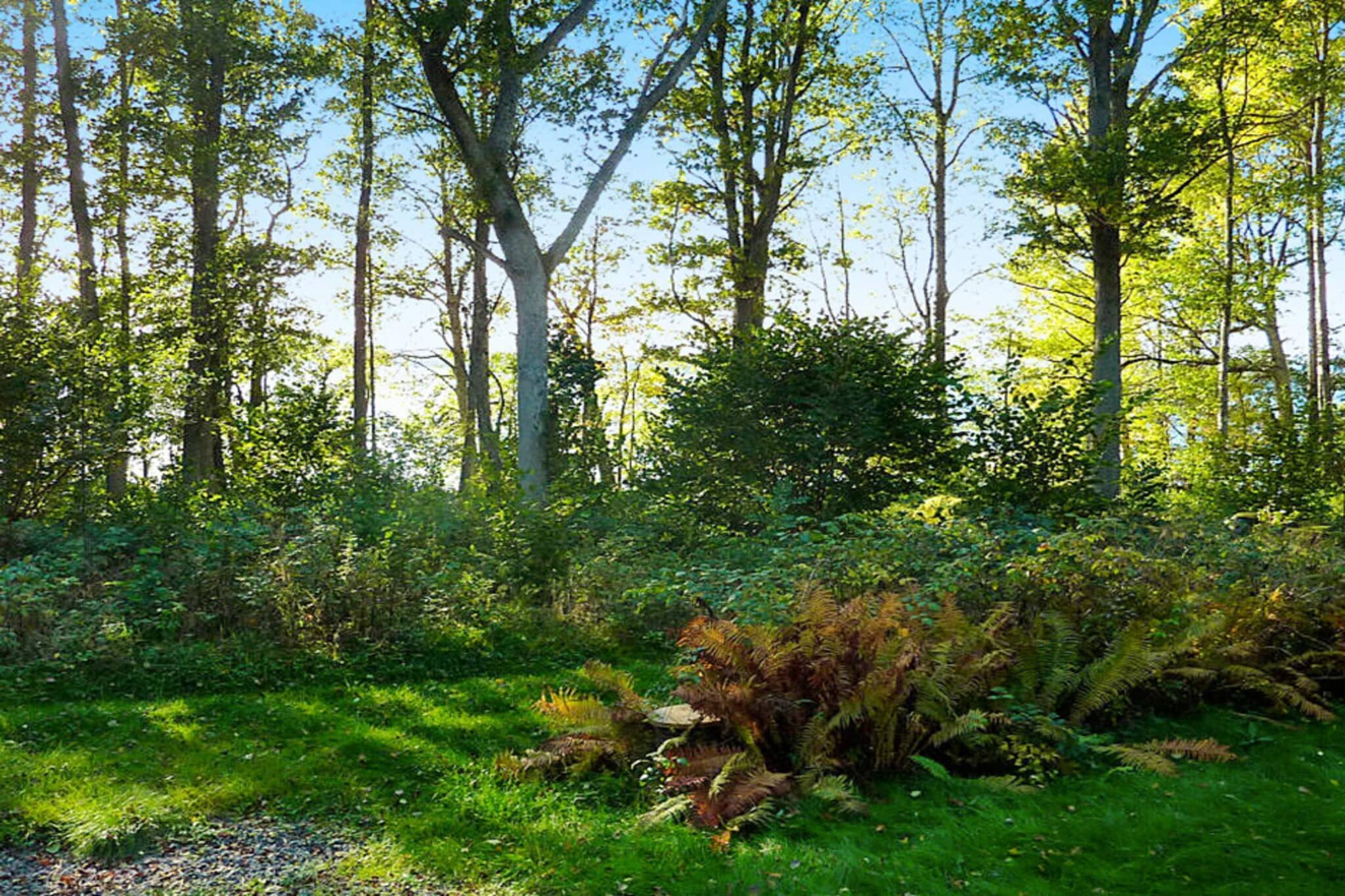 4 person holiday home in BRAÃ…S-By Traum