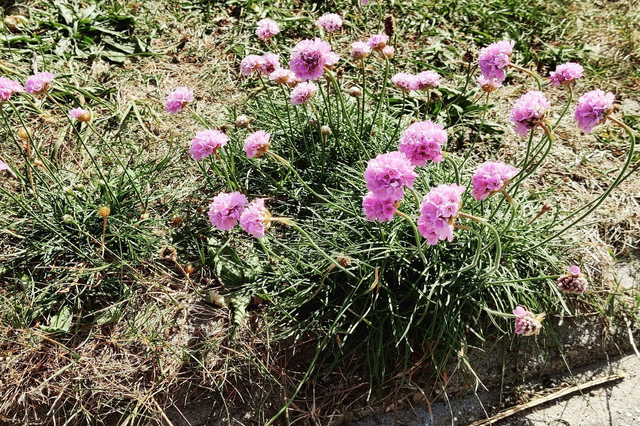 Panoramisch kustverblijf -- By Traum Ferienwohnungen-Niet-getagd