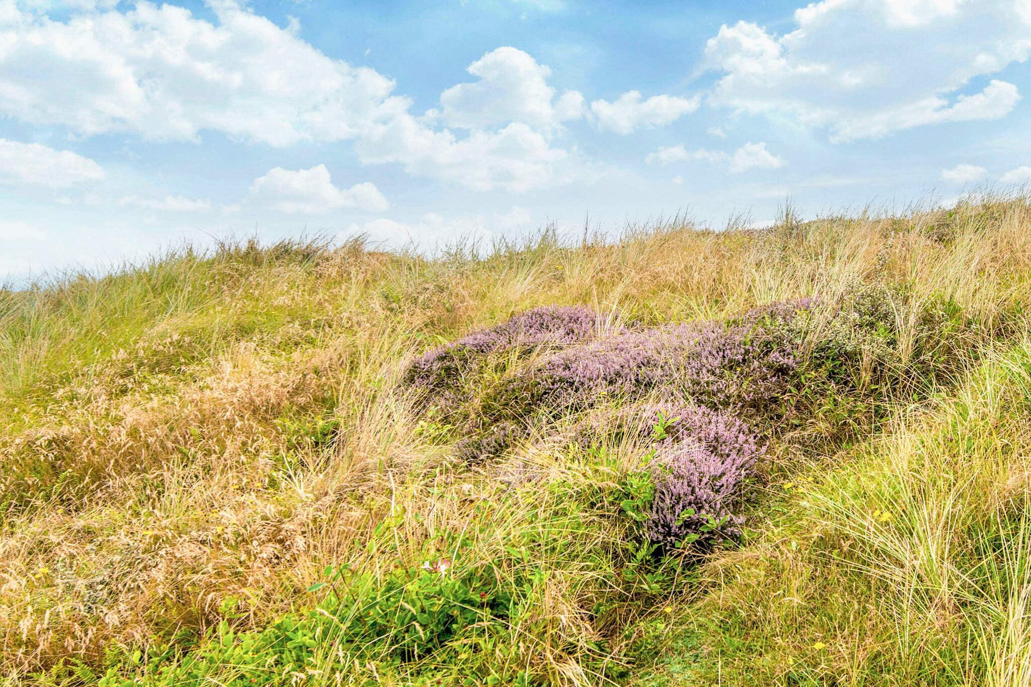 Rustiek toevluchtsoord met uitzicht - Uitzicht