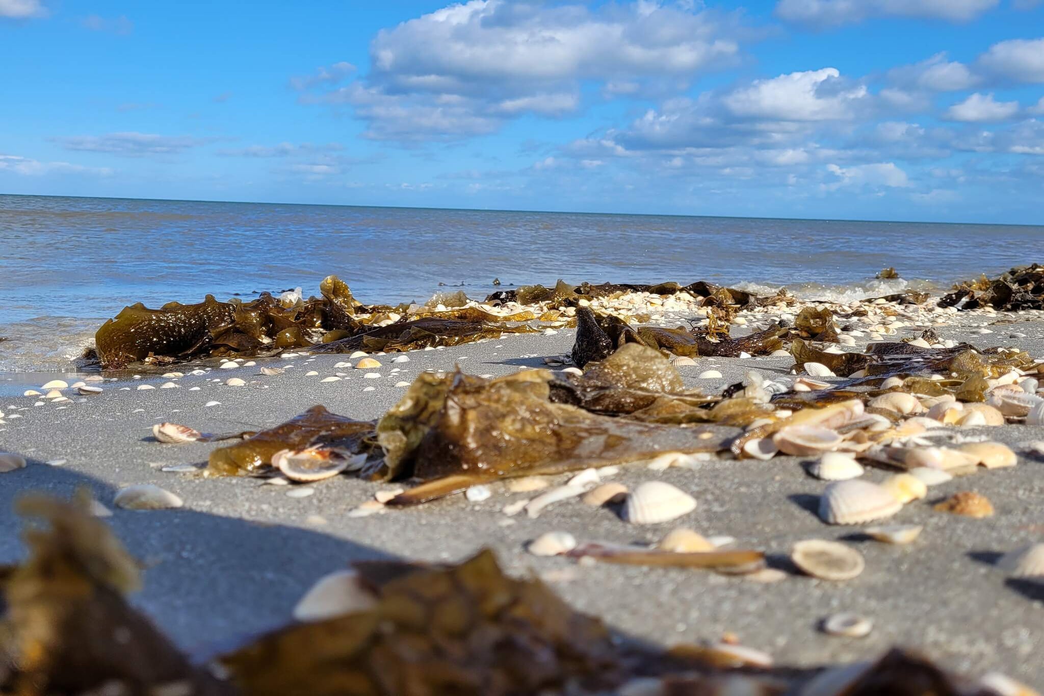 6 persoons vakantie huis in Sæby-By Traum-Waterzicht