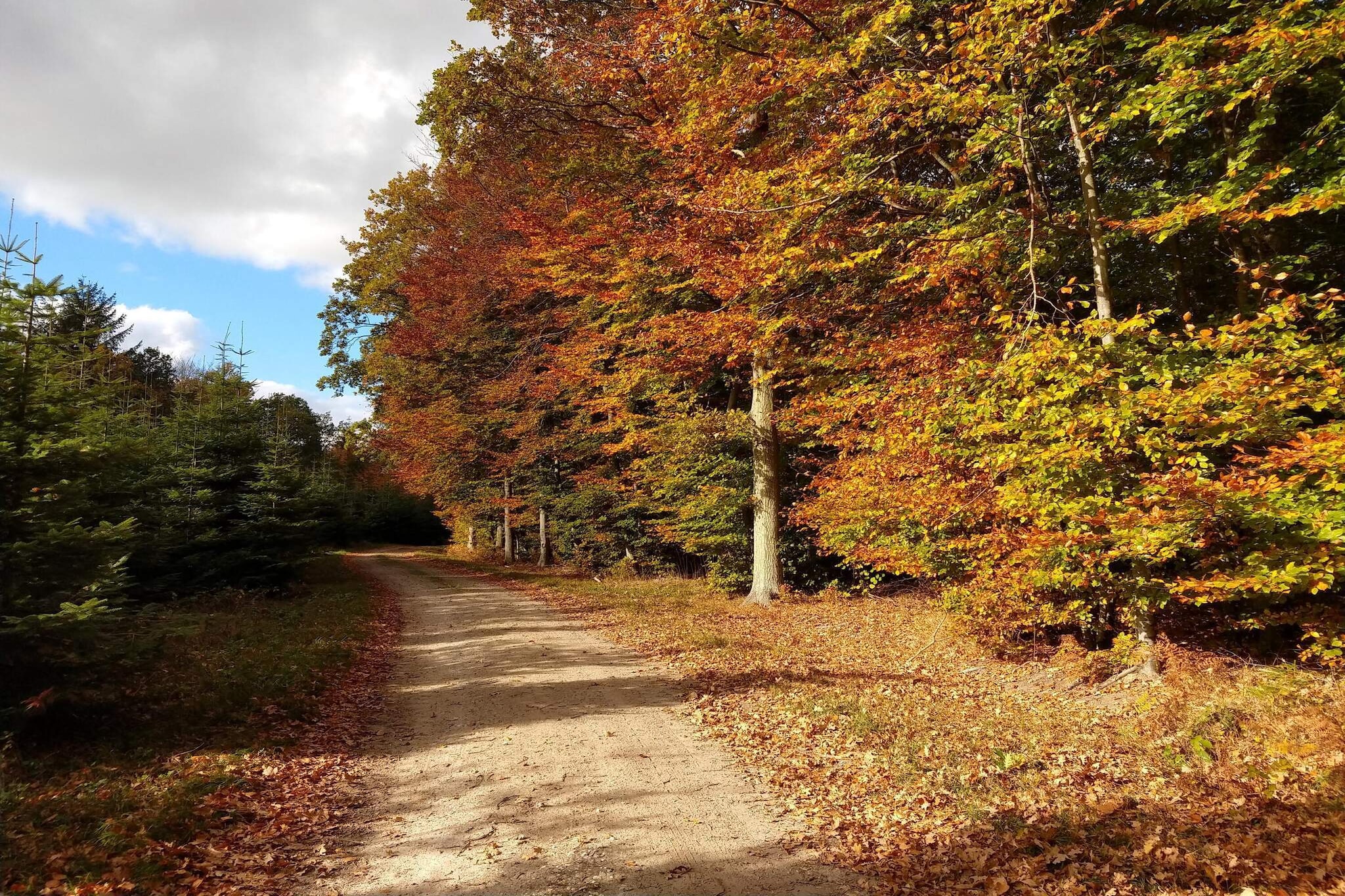 4 persoons vakantie huis in Karrebæksminde-Niet-getagd