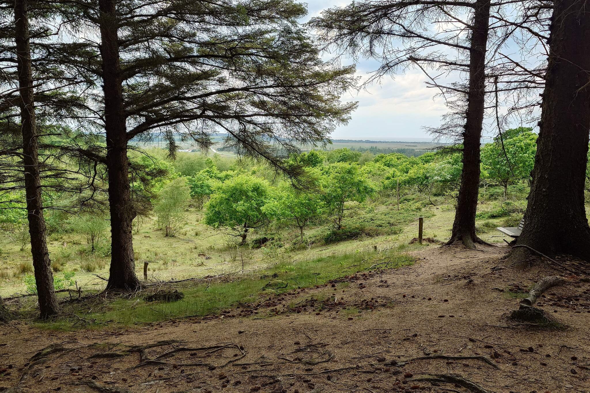 6 persoons vakantie huis in Brovst-By Traum