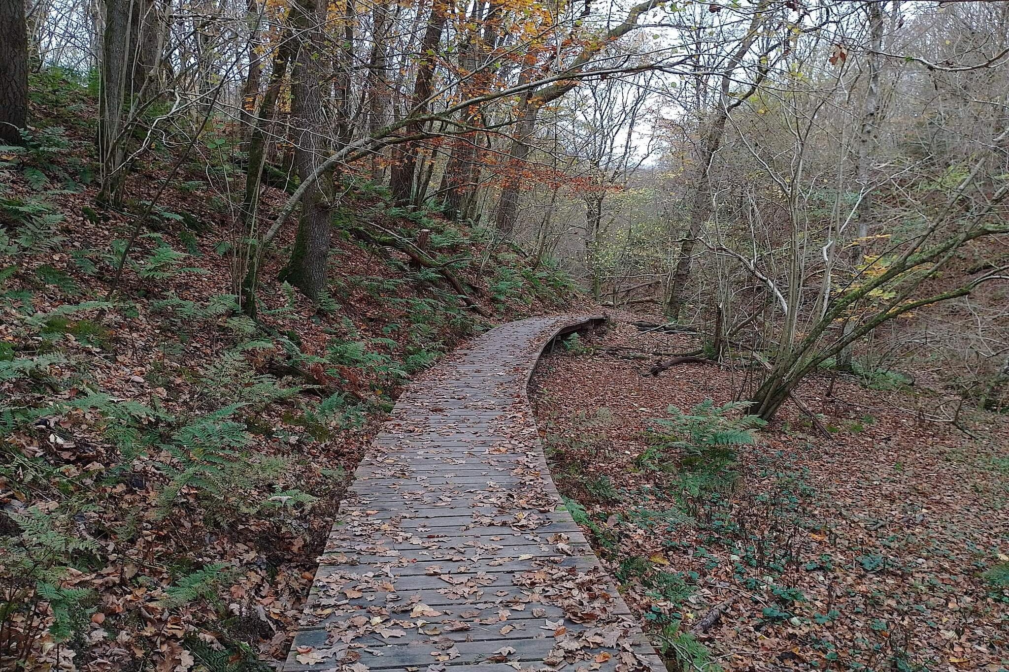 6 persoons vakantie huis in Brovst-By Traum-Niet-getagd