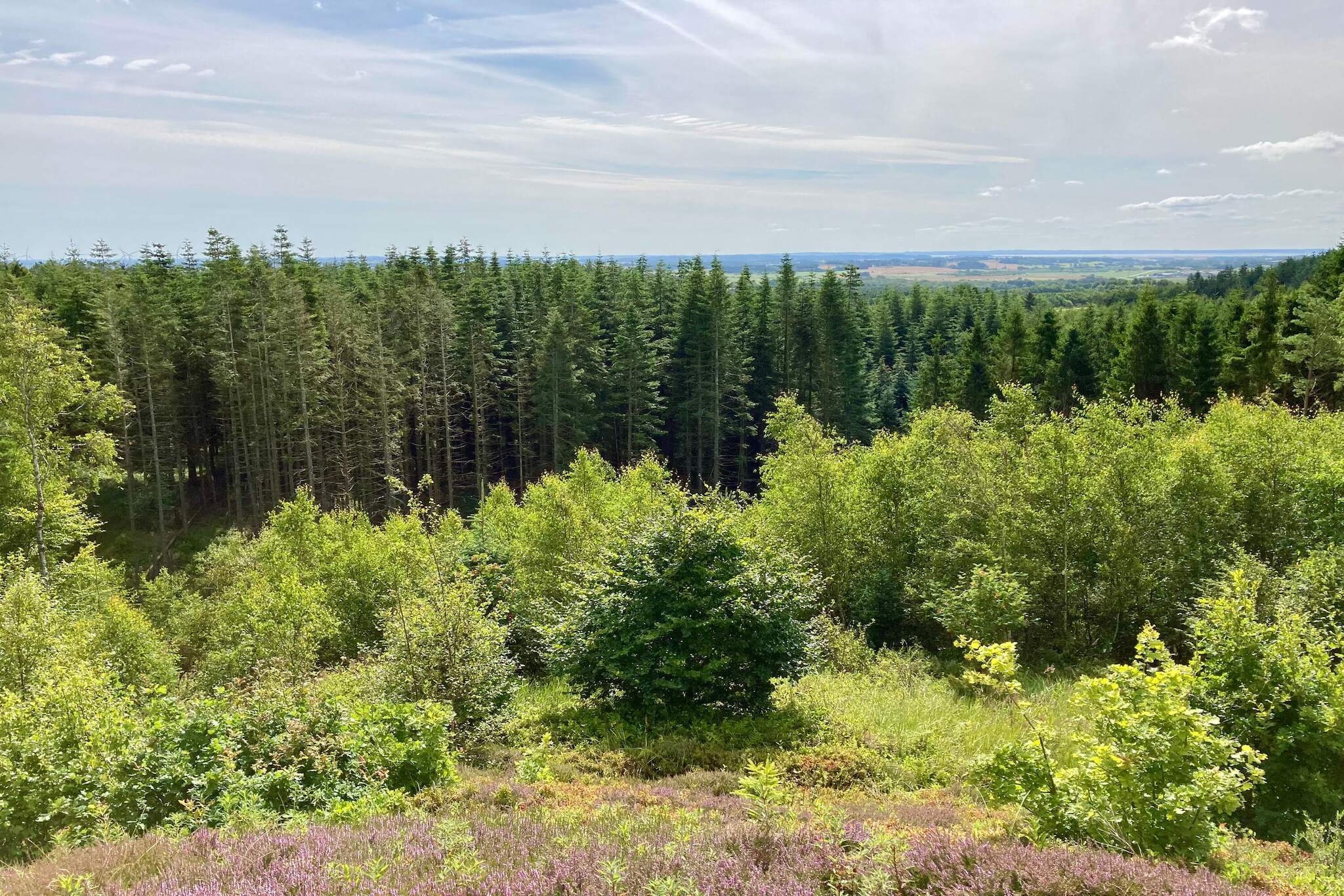 6 persoons vakantie huis in Brovst-By Traum