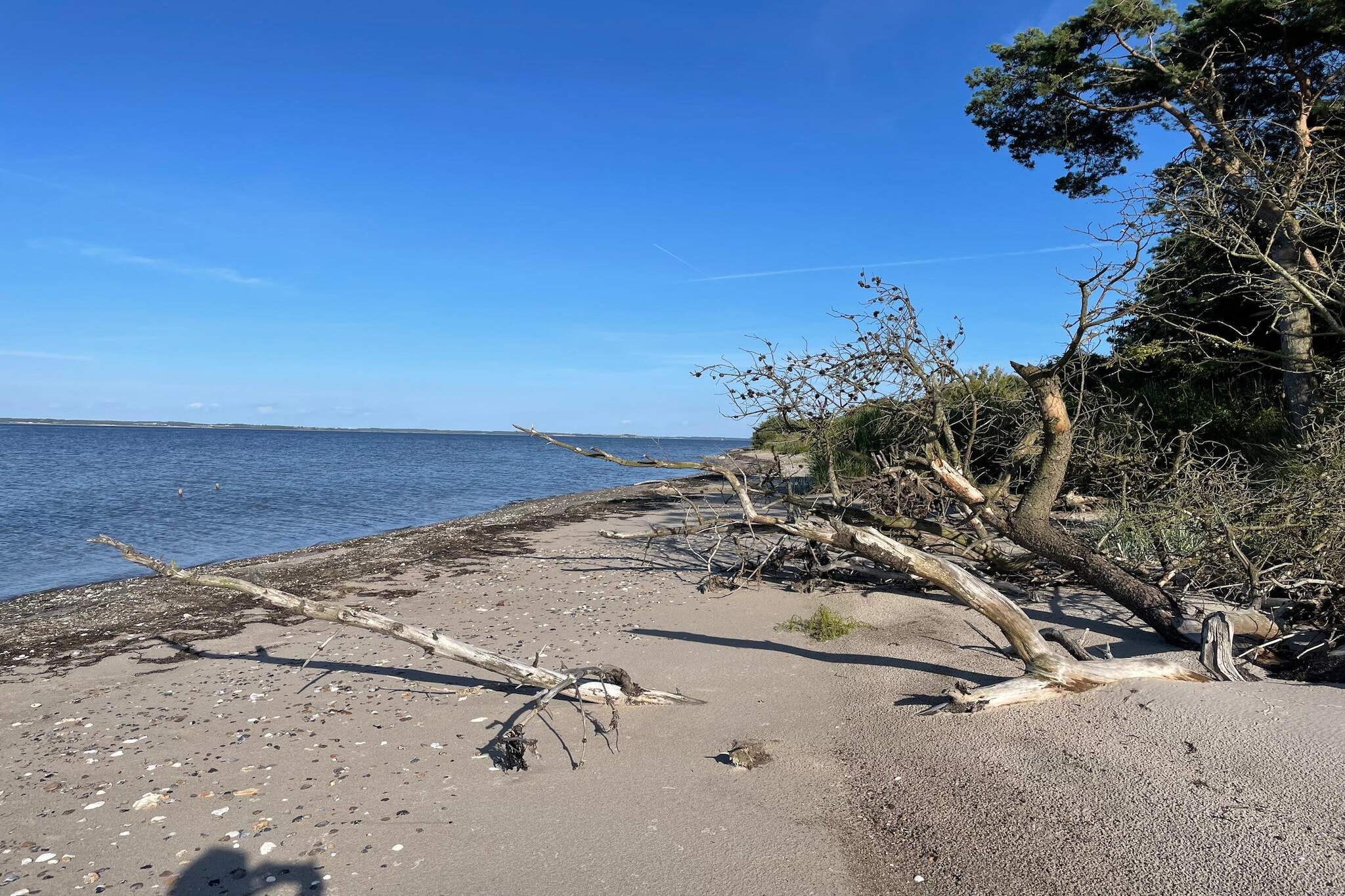 6 persoons vakantie huis in Roslev-By Traum - Waterzicht
