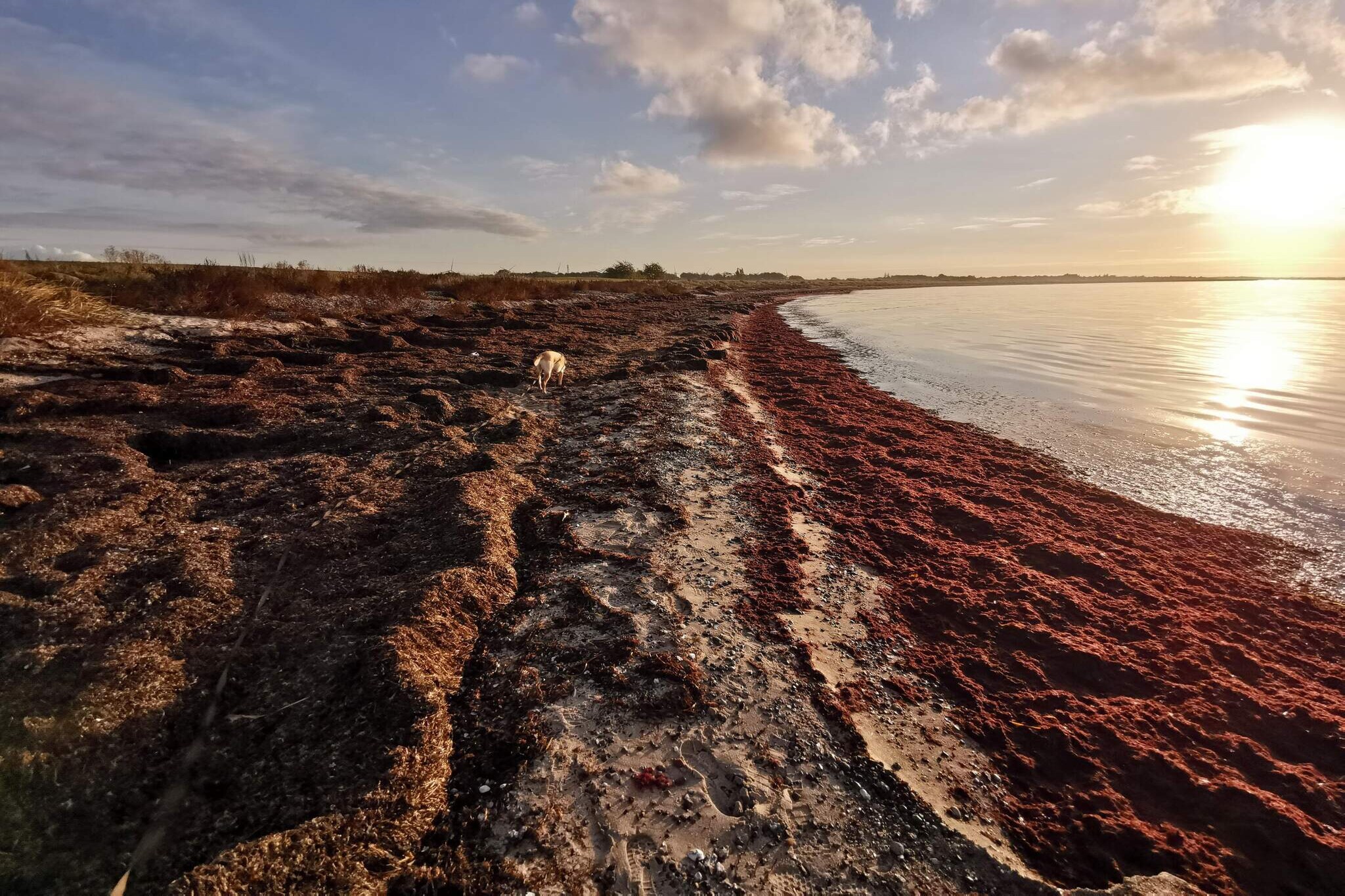 6 person holiday home in Dannemare-By Traum