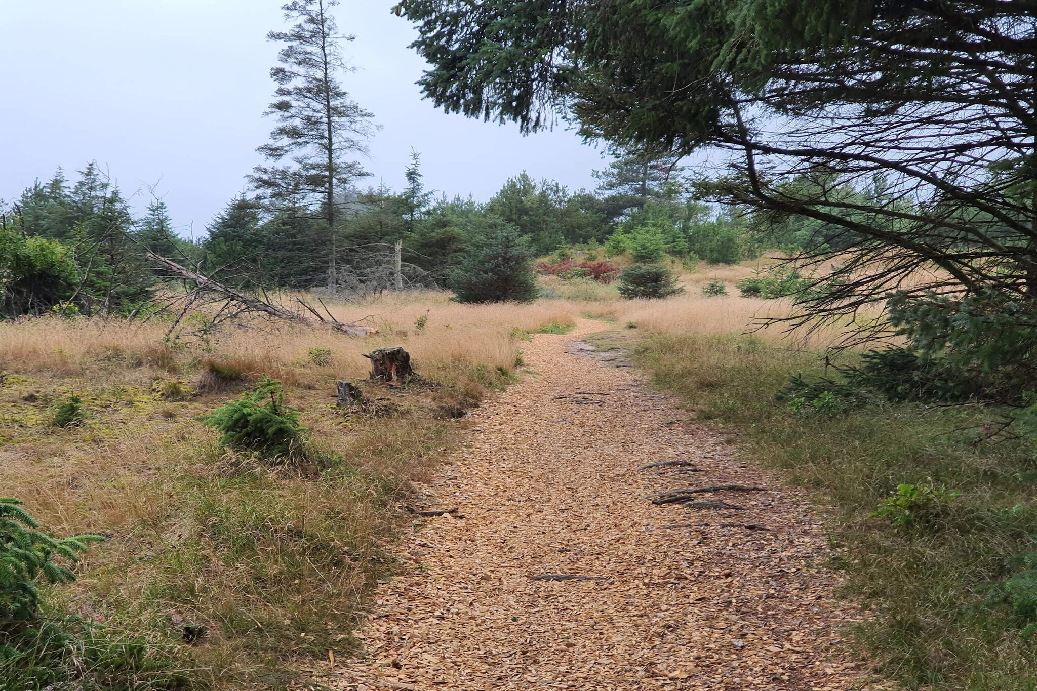 6 persoons vakantie huis in Løkken-By Traum-Niet-getagd