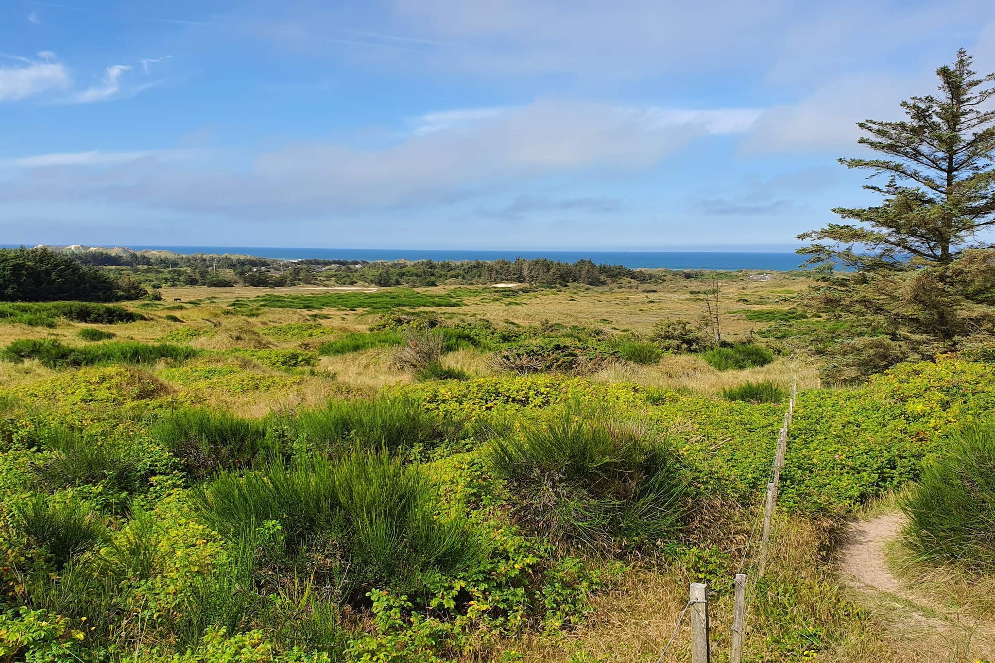 6 persoons vakantie huis in Løkken-By Traum-Niet-getagd