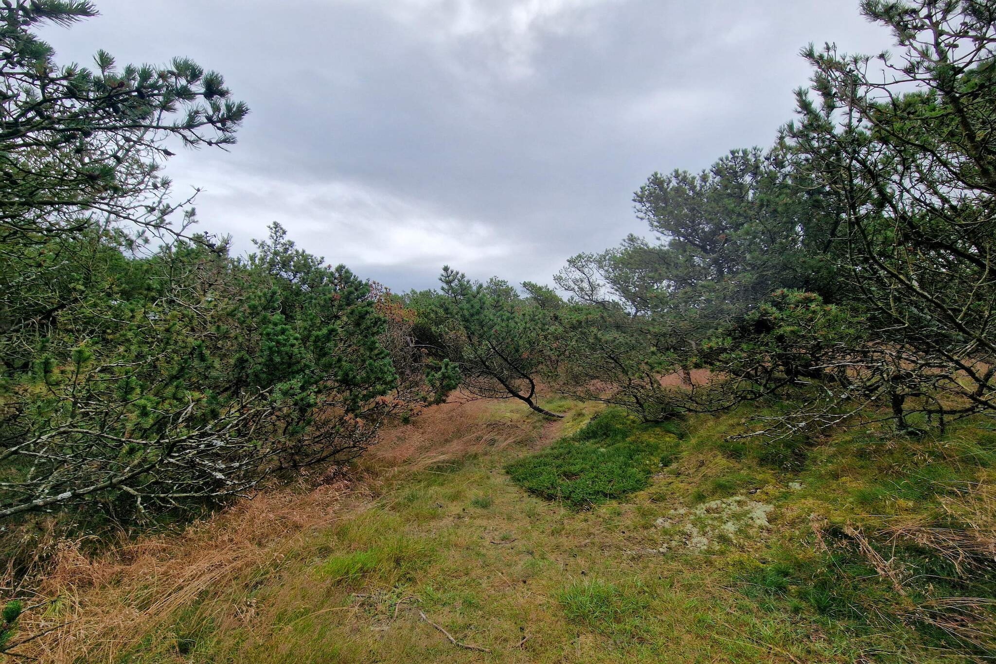 4 persoons vakantie huis in Fanø-By Traum-Niet-getagd