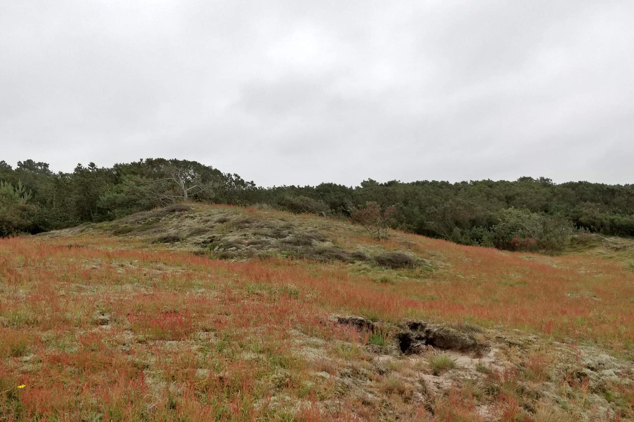 4 persoons vakantie huis in Fanø-By Traum-Niet-getagd