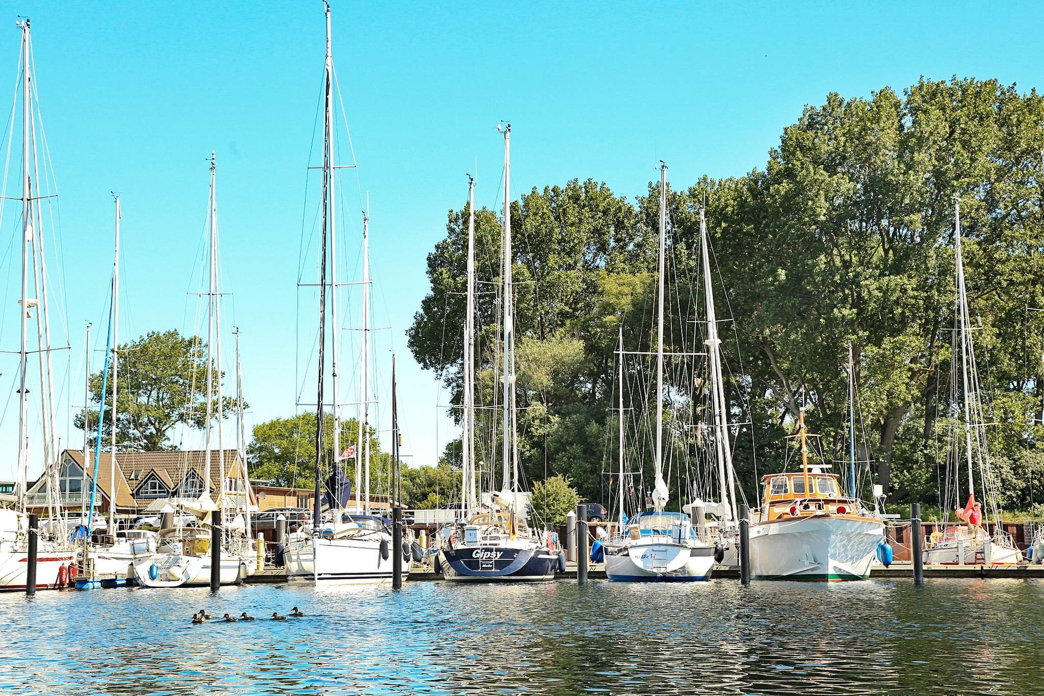 OSTSEEAPARTMENTS AM FEHMARNSUND - Niet-getagd