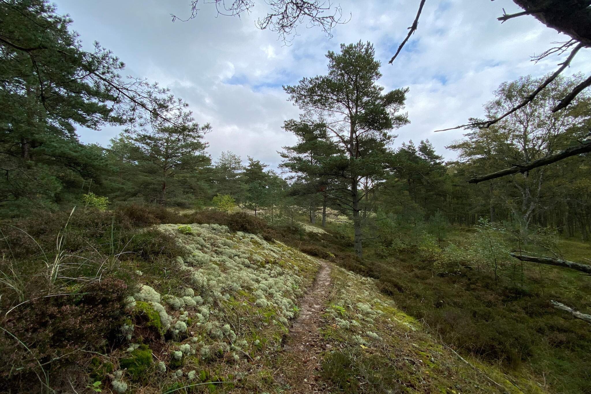 6 persoons vakantie huis in Hadsund-By Traum - Niet-getagd