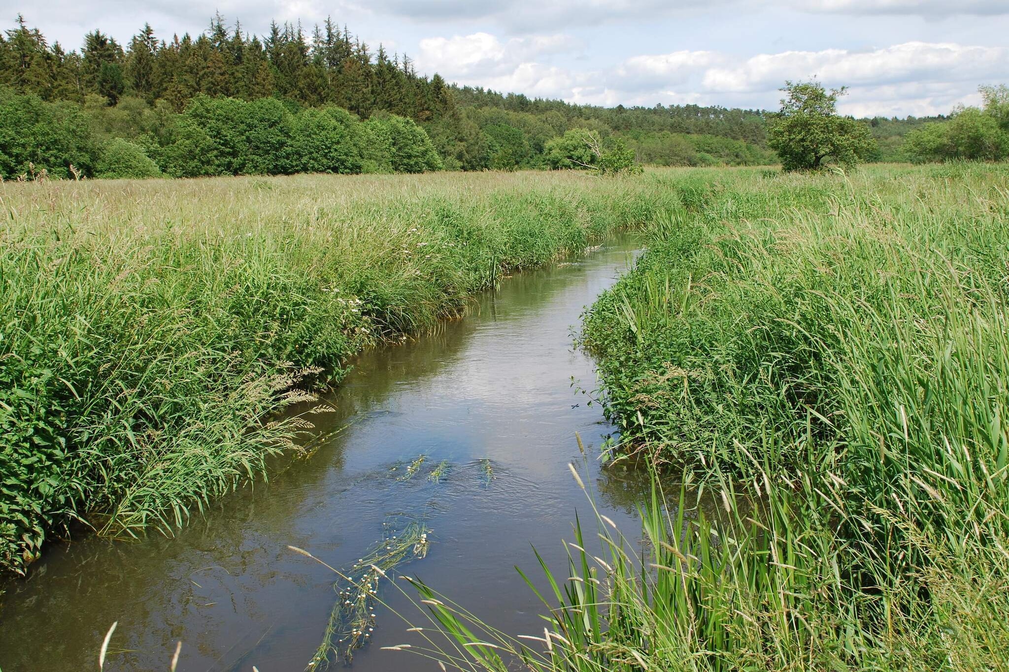 8 persoons vakantie huis in Gjern-By Traum-Waterzicht