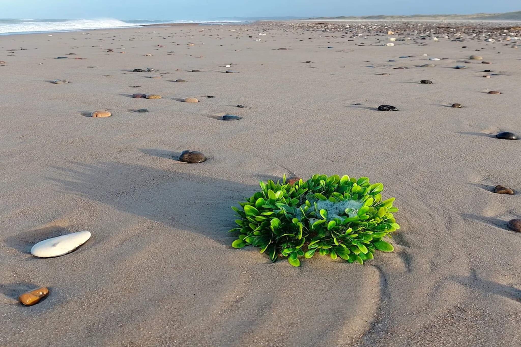 Gezellig strandhuis met spa - Waterzicht