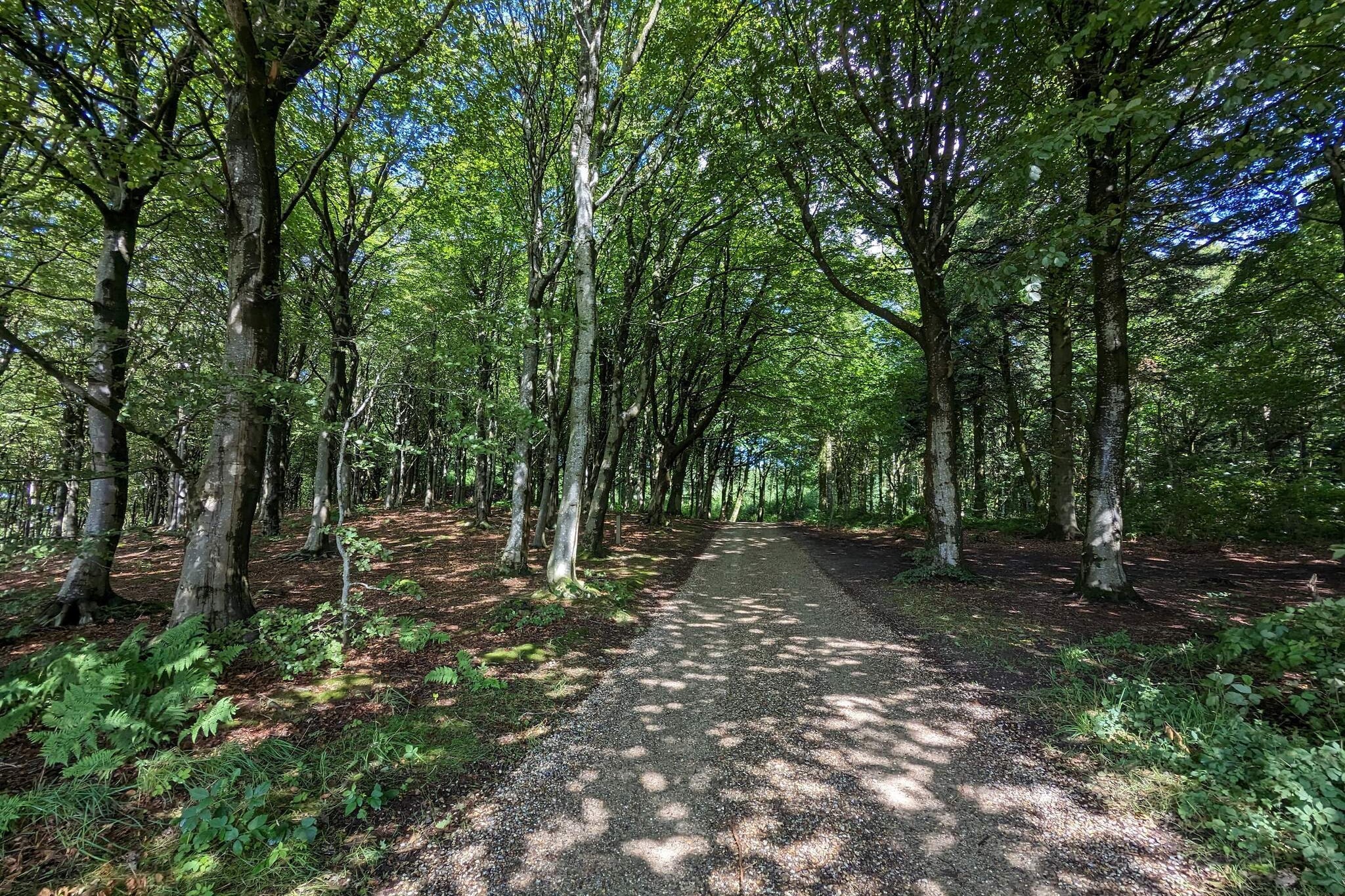 8 persoons vakantie huis in Vestervig-Niet-getagd