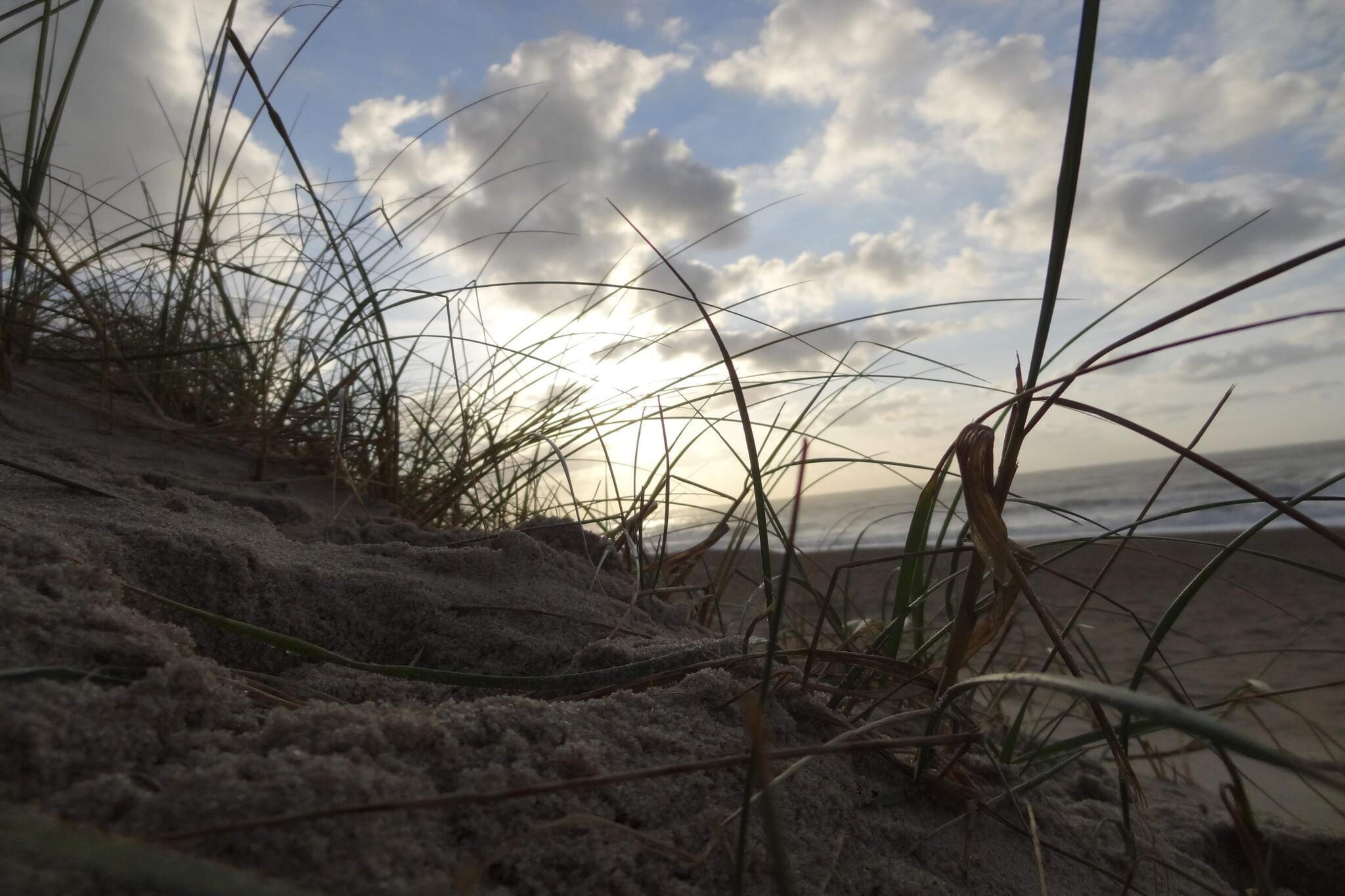 Strandplezier & Ontspanning -- By Traum-Niet-getagd